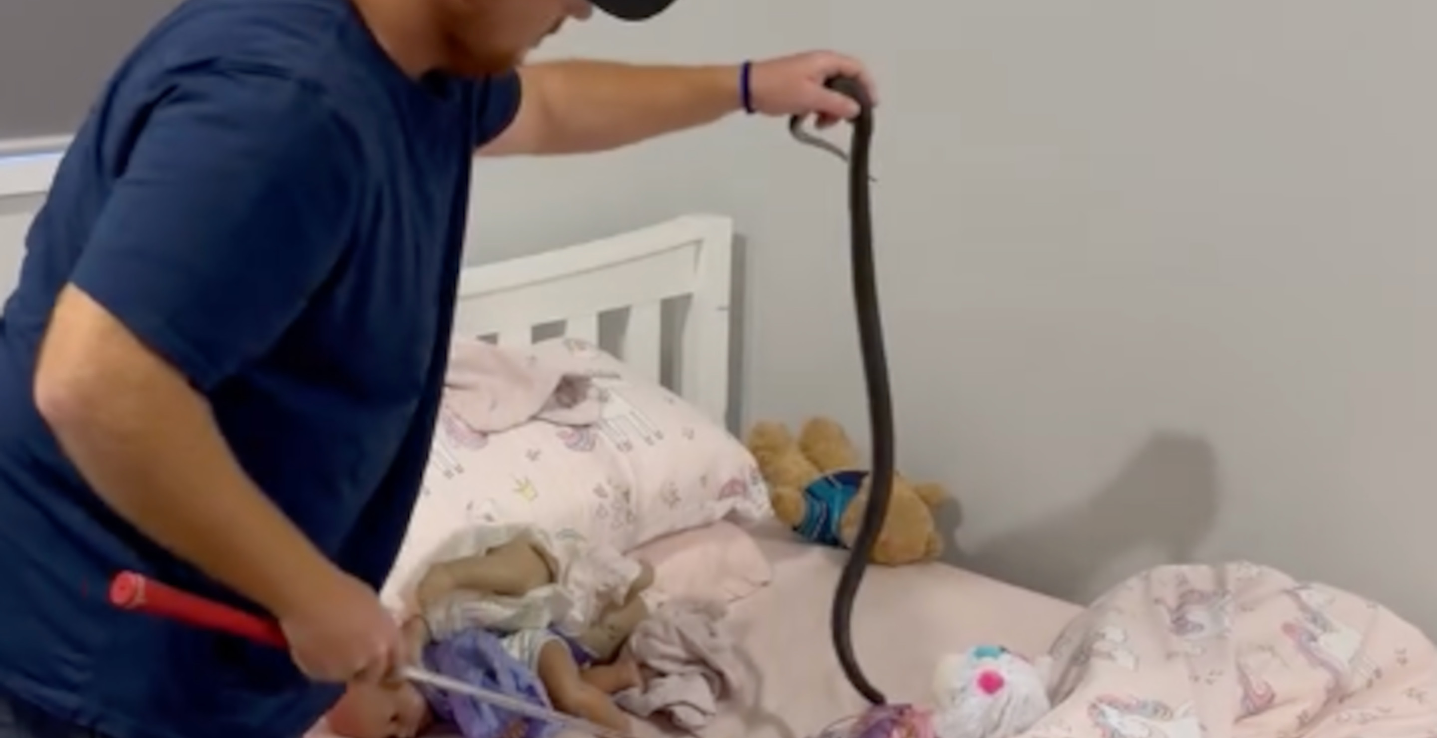 Parent's Worst Nightmare! Venomous Snake Found In Child's Bed