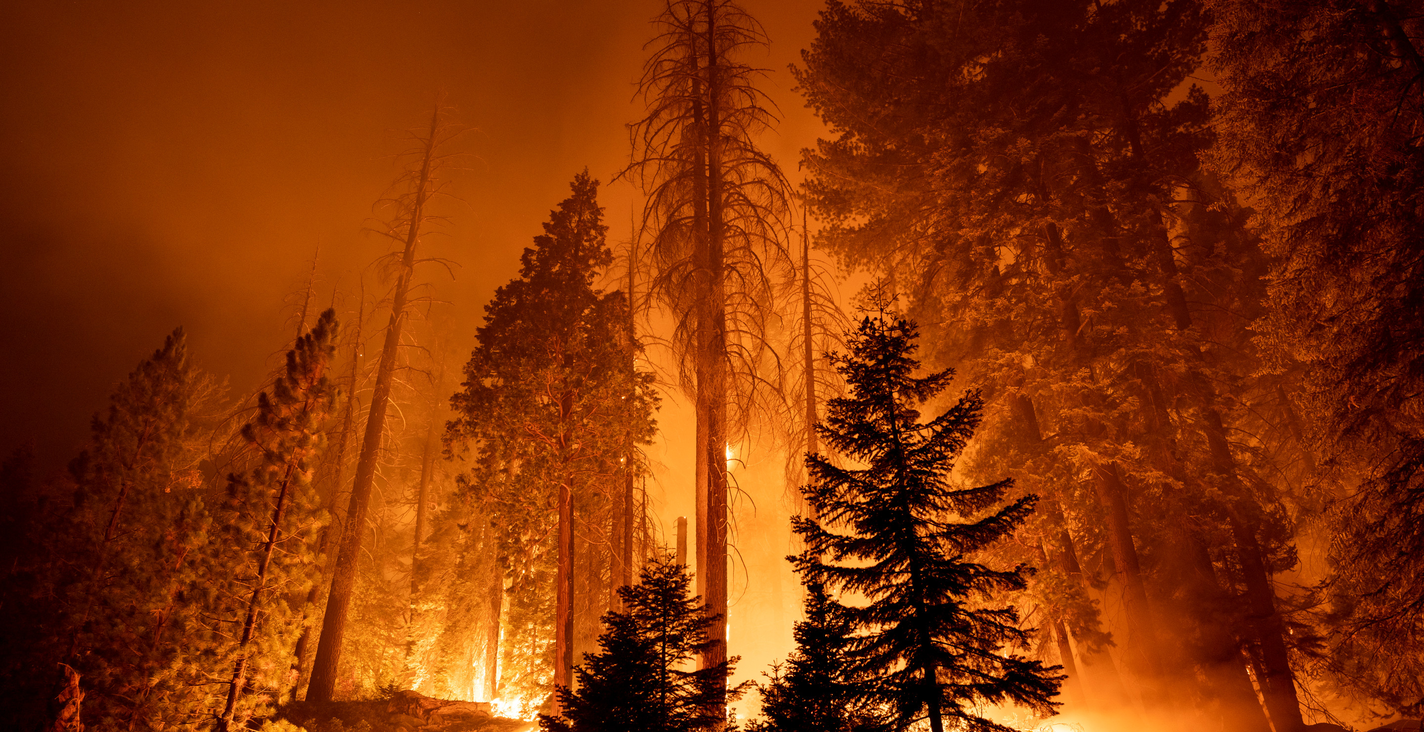 Wildfire Forces Dozens To Evacuate In Washington