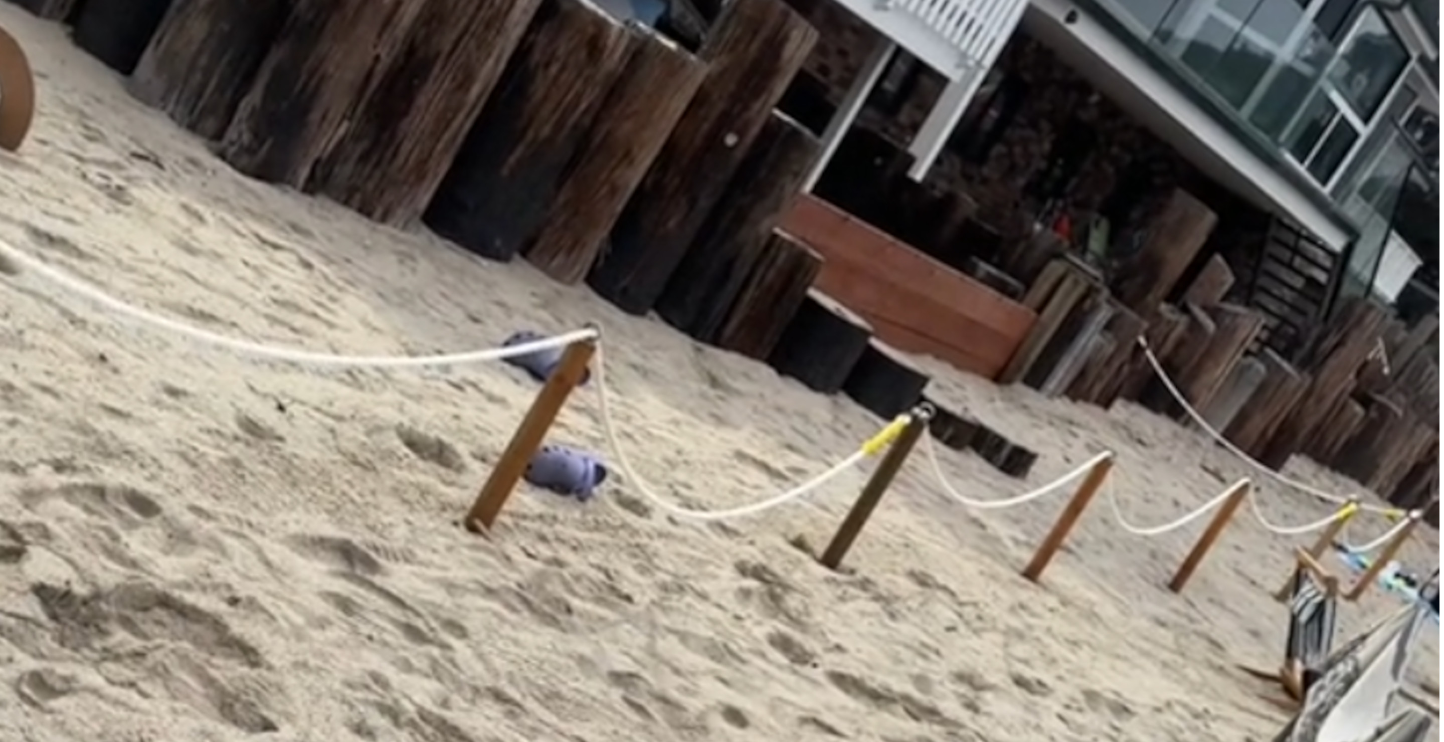 California Homeowner Ropes Off Public Beach, Claiming It Is Part Of Their Estate In Viral Video