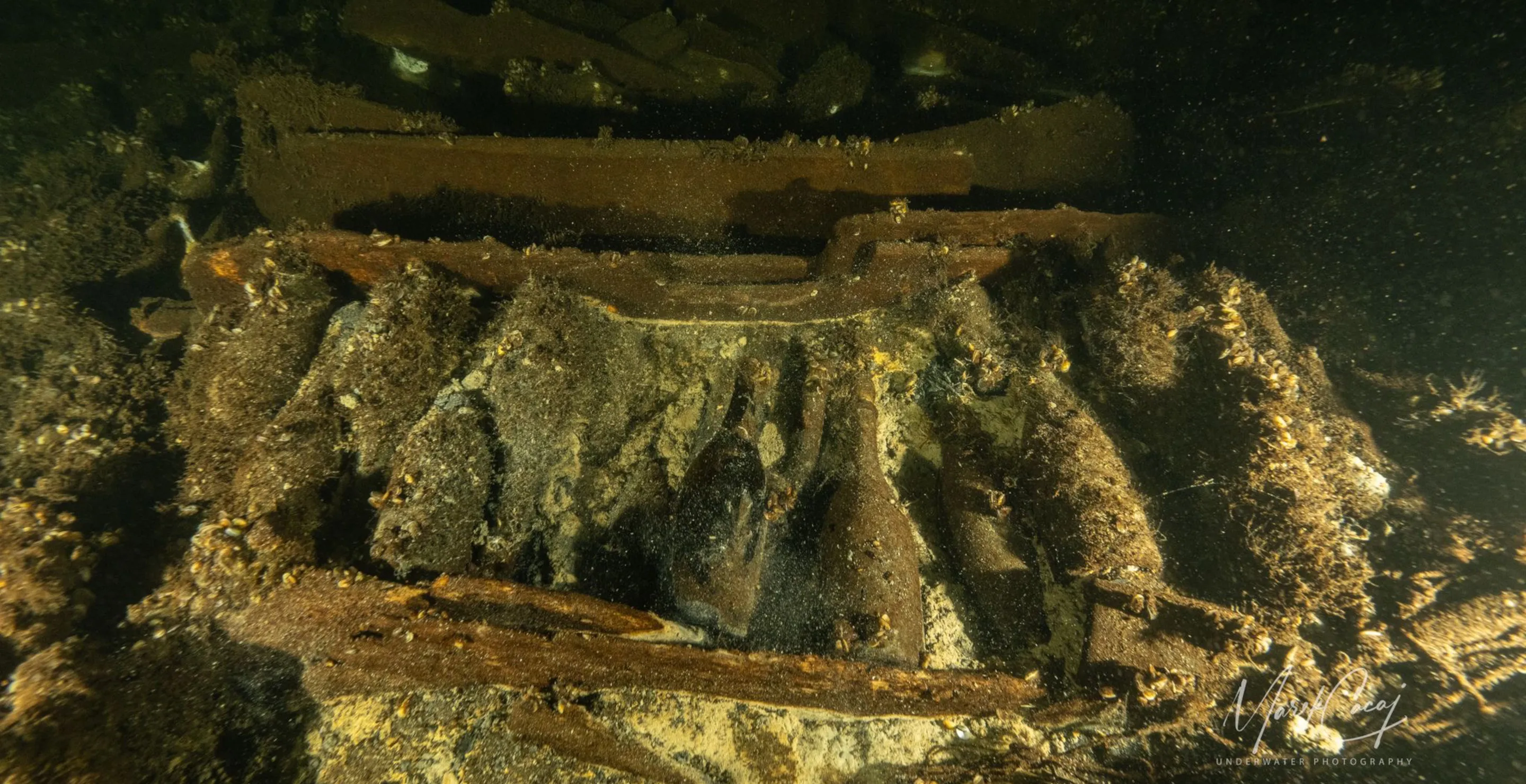 Divers Find 175-Year-Old Bottles Of Champagne In Shipwreck