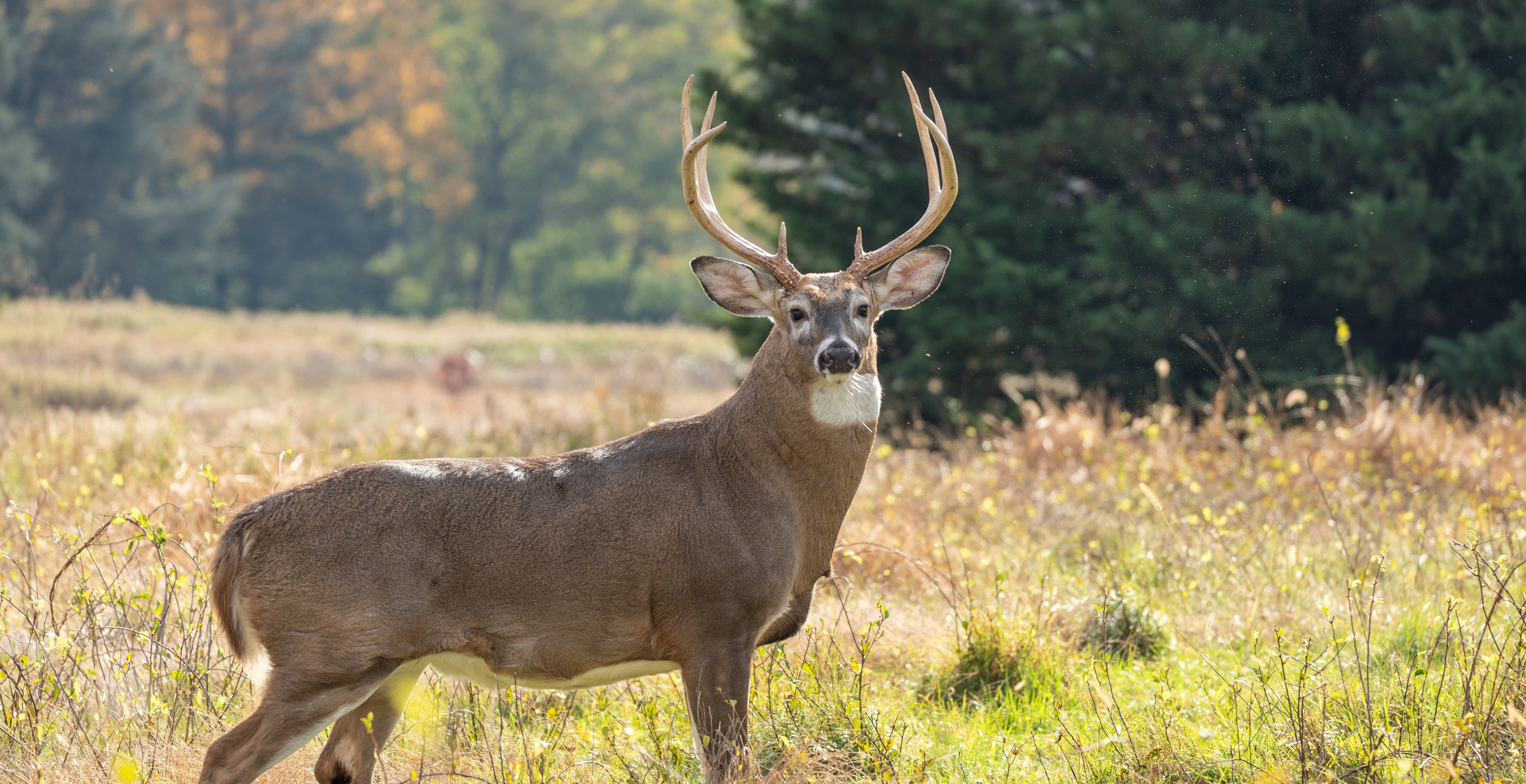 Meet Nebraska's Oldest Deer Hunter At 96