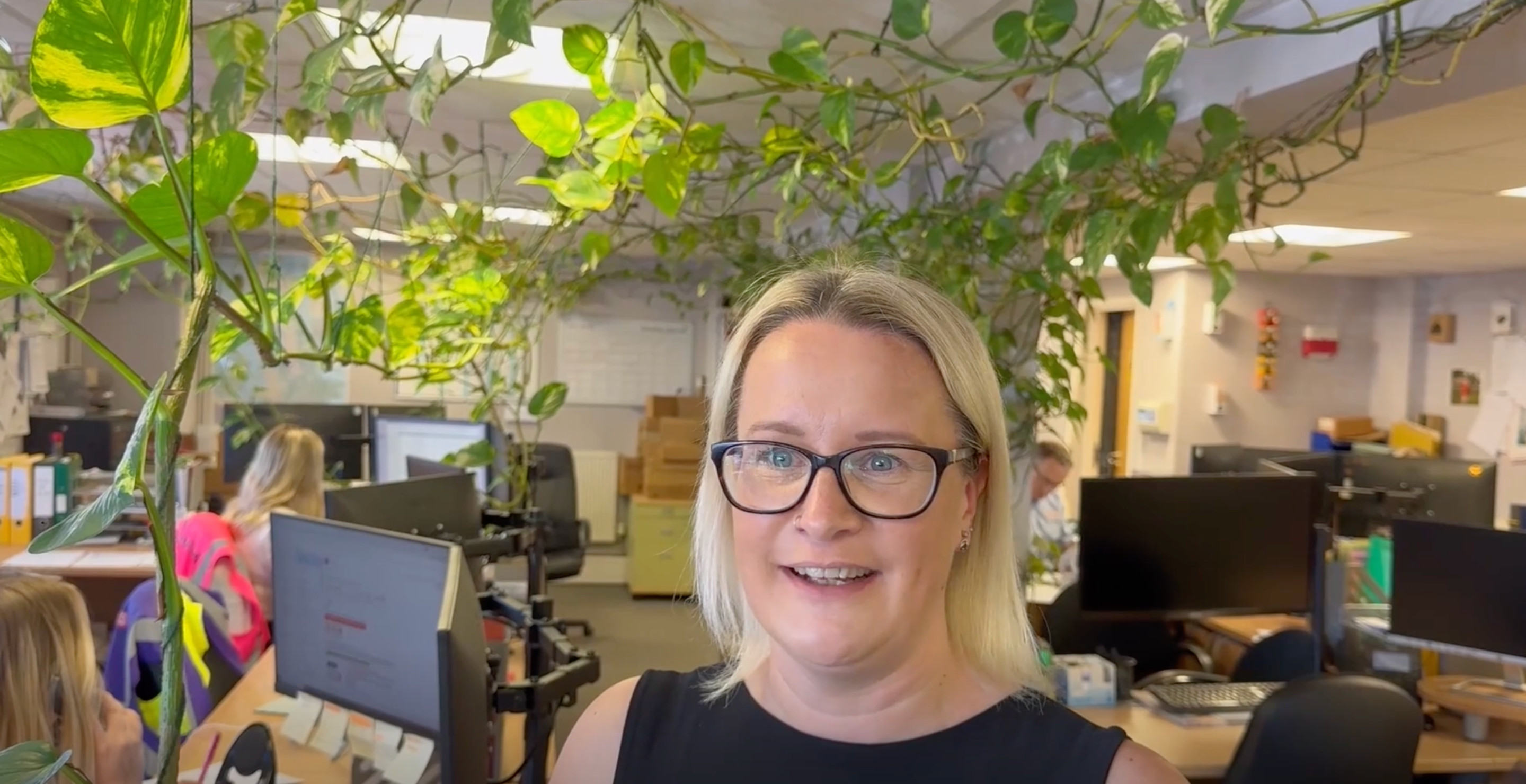 Office Plant Potted 15 Years Overtakes Entire Office