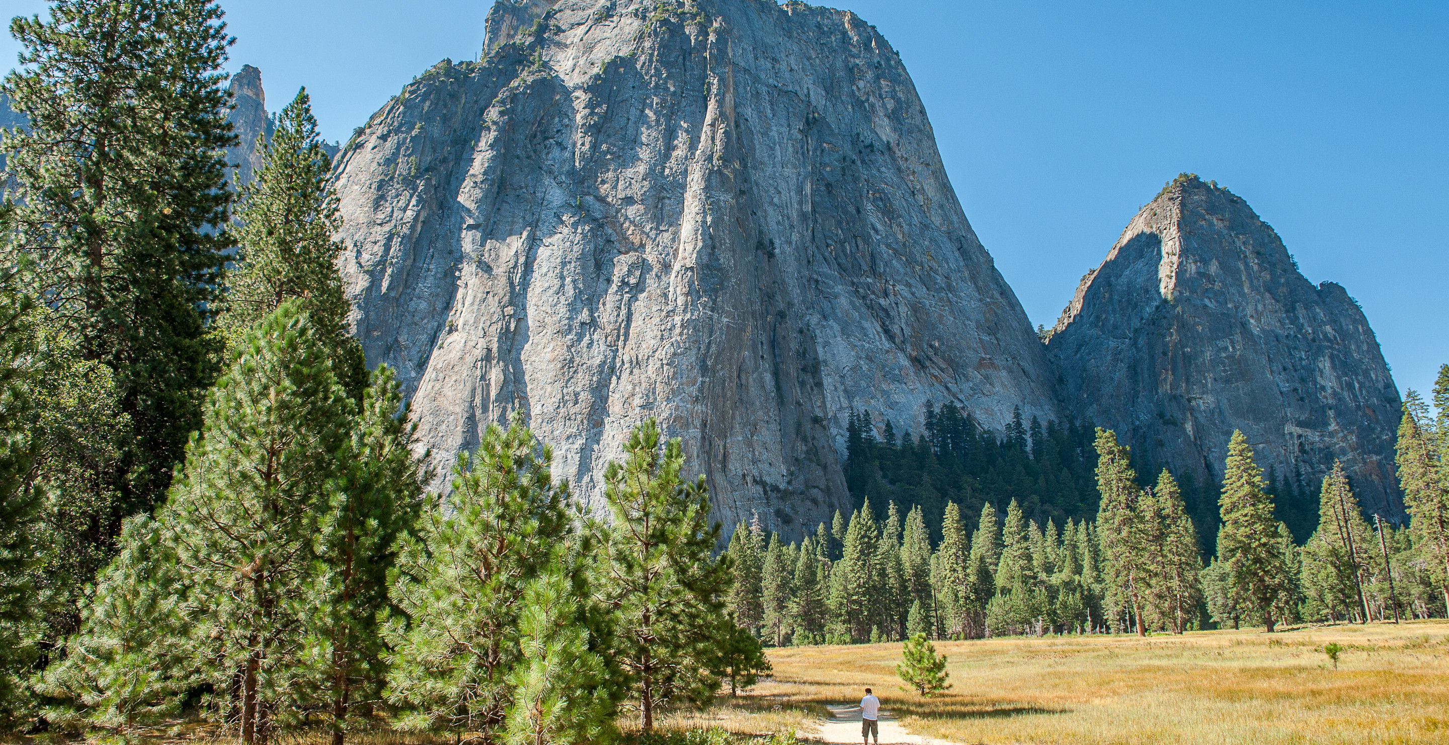 20-Year-Old Camp Worker Dies In Tragic Incident At Yosemite National Park -  Wide Open Spaces