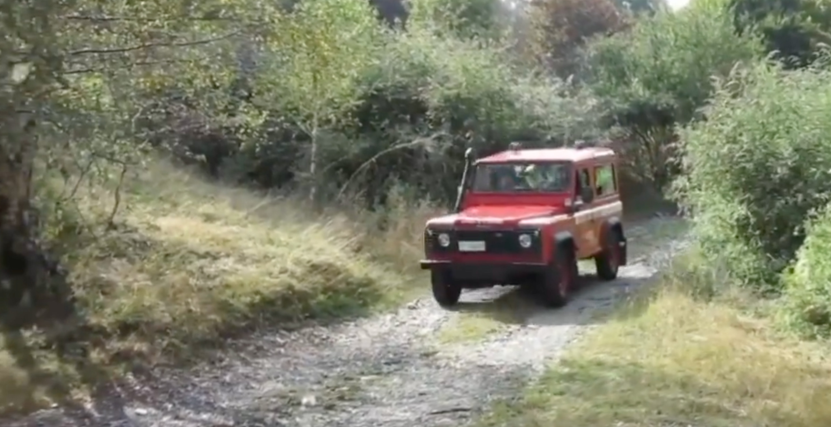 89-Year-Old Woman Survives 4 Days in Italian Wilderness By Drinking From Puddles