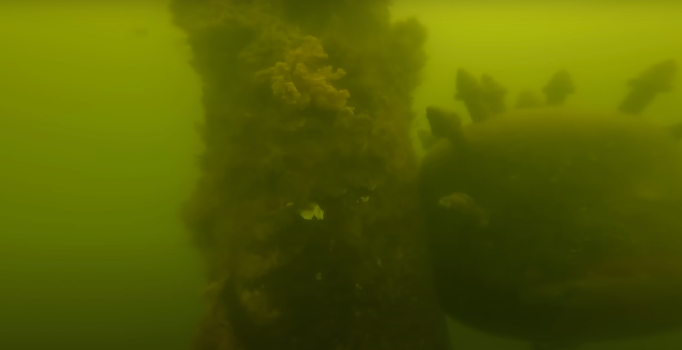 Shocked Boater Discovers Naval Mine After Dropping GoPro Into The Ocean