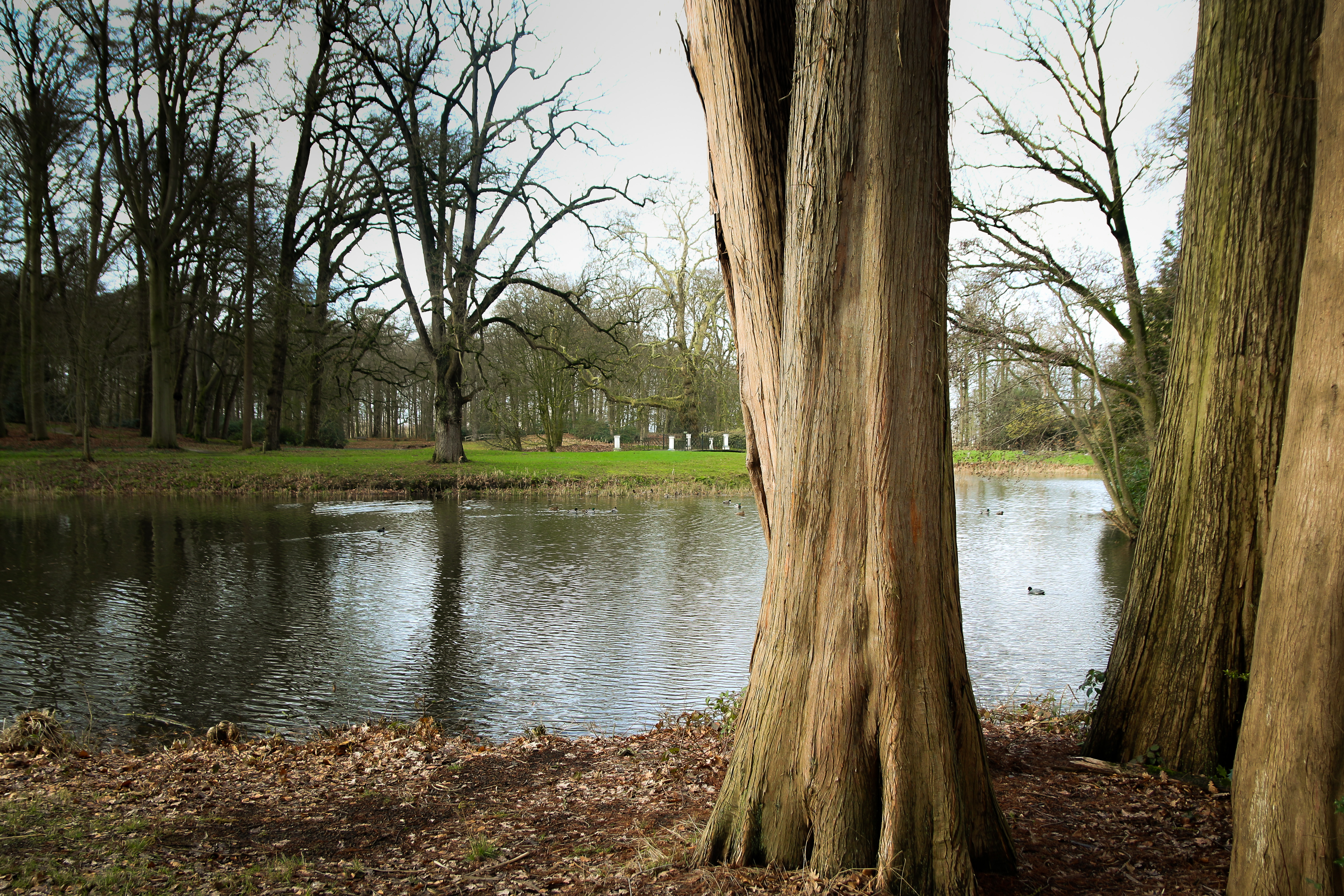 Woman with dementia found dead pond in Indiana