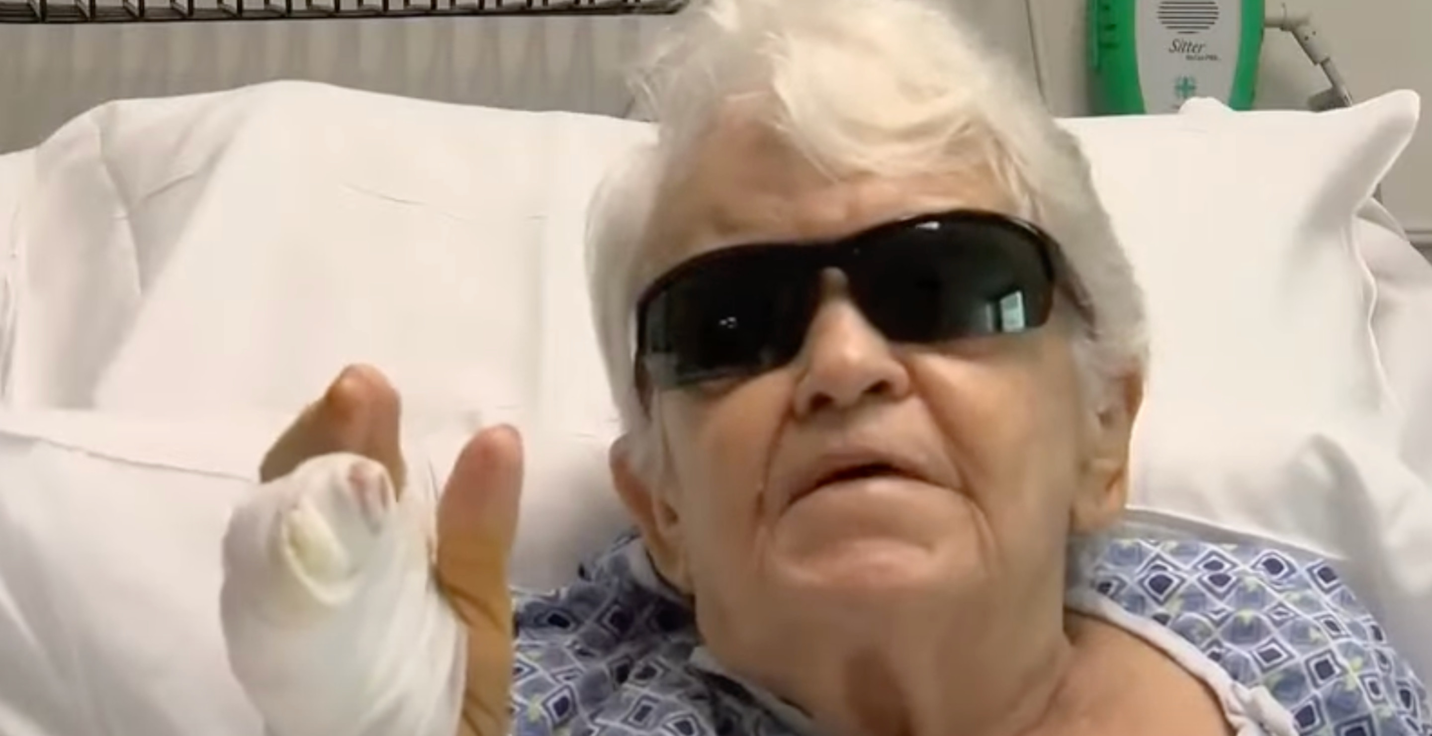 84-Year-Old Woman Describes Terrifying Moment Alligator Attacked Her While She Was Walking Her Dog