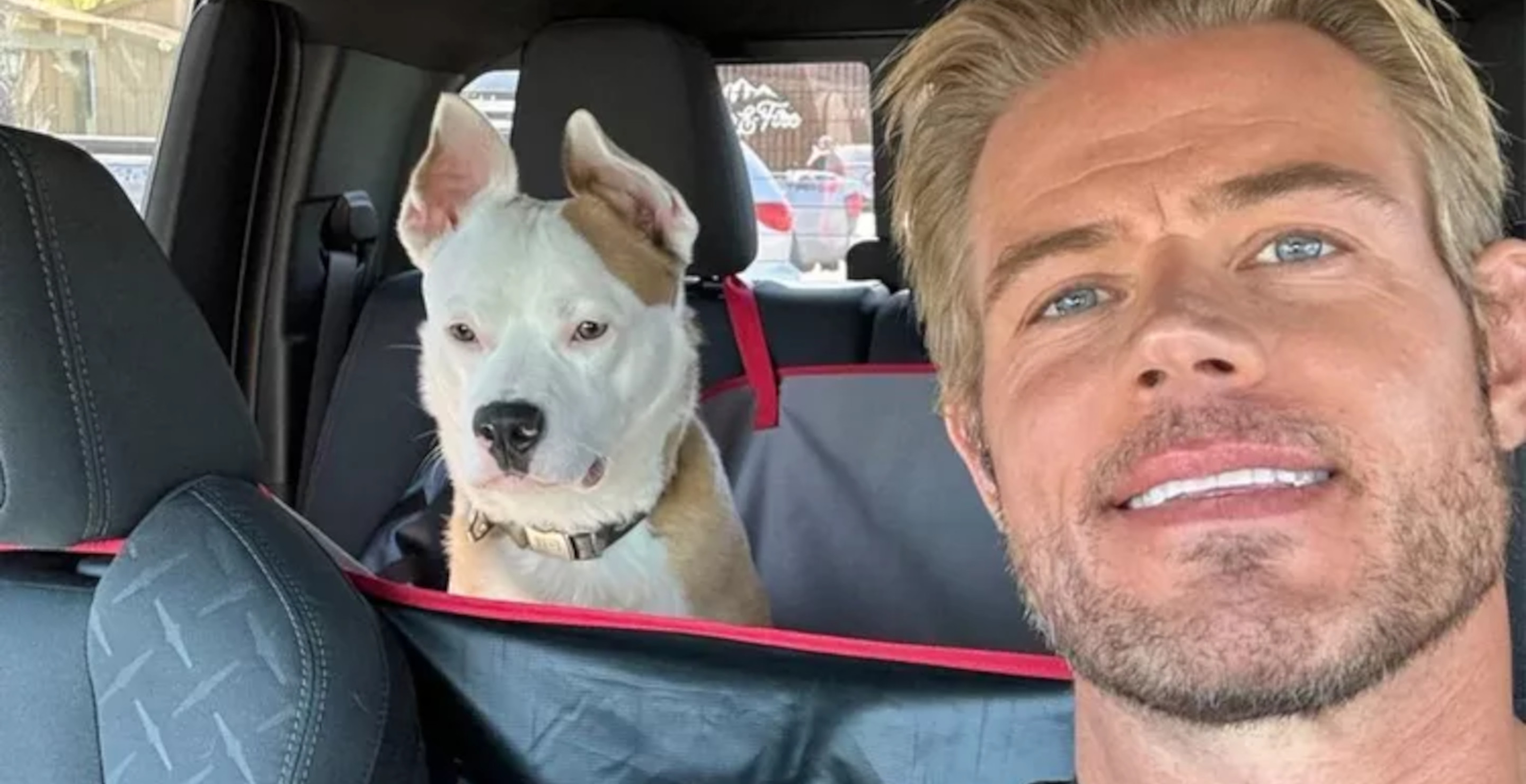 Actor Trevor Donovan Describes Terrifying Ordeal After Dog Eats A Pack Of Sealed Gum