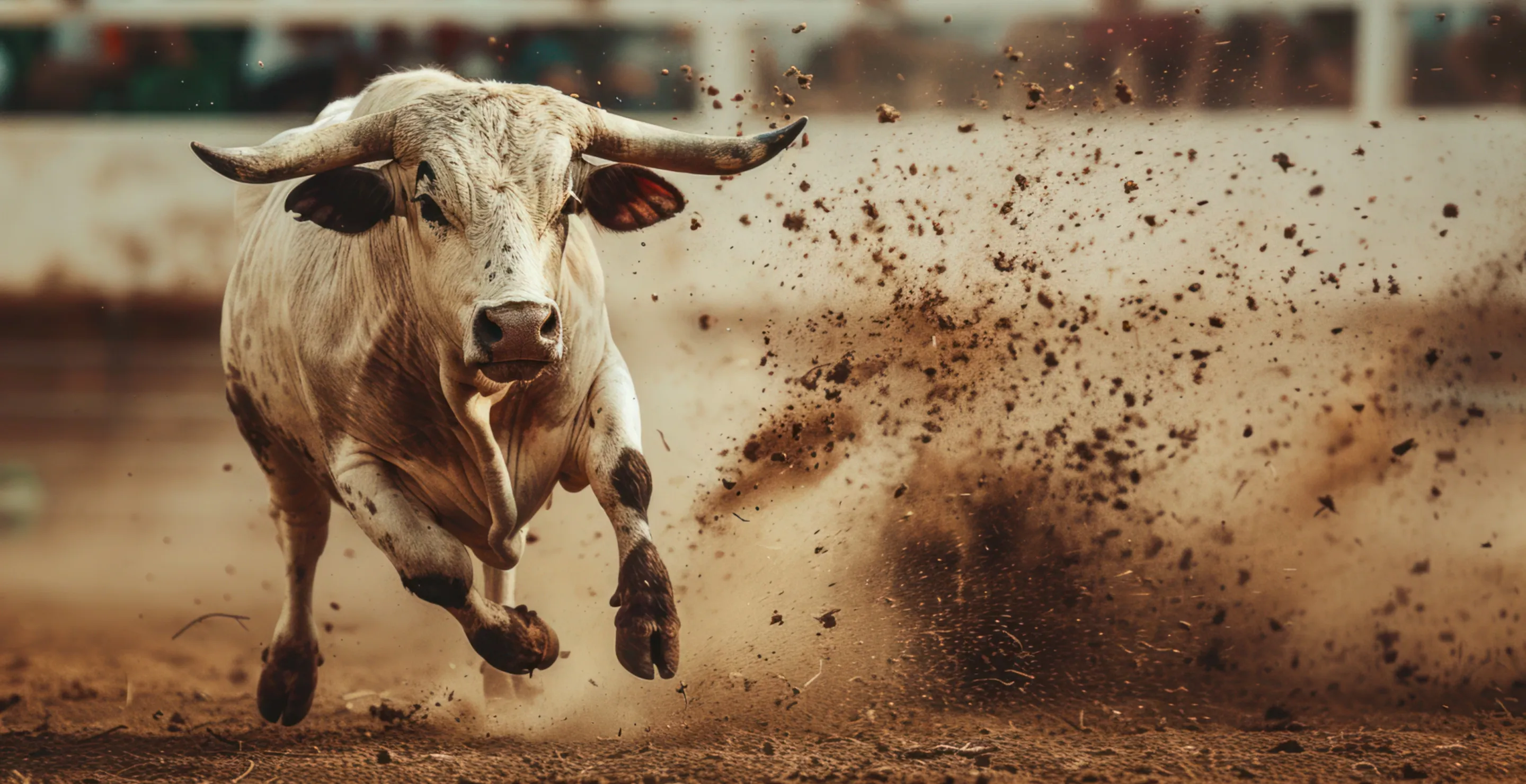 Eight Bulls Hit The Town After Escaping From Mall Rodeo In Massachusetts