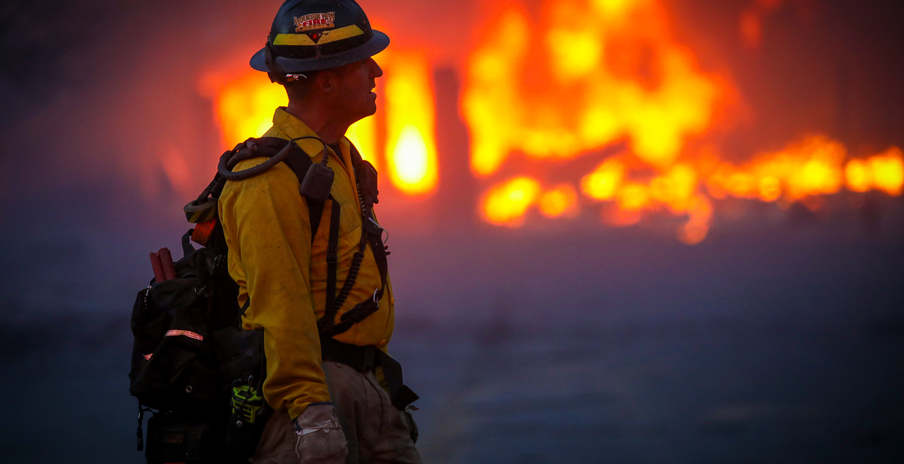 Man Trying To Cremate Dog Ended Up Causing One Of The Largest Wildfires In Colorado This Year