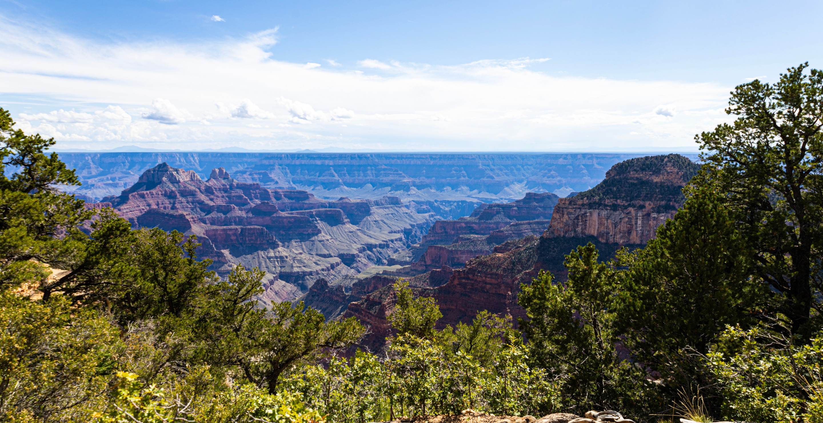 Texas-Hiker-Reflects-On-Terrifying-Moment-Grand-Canyon-Trail-Started-Flooding