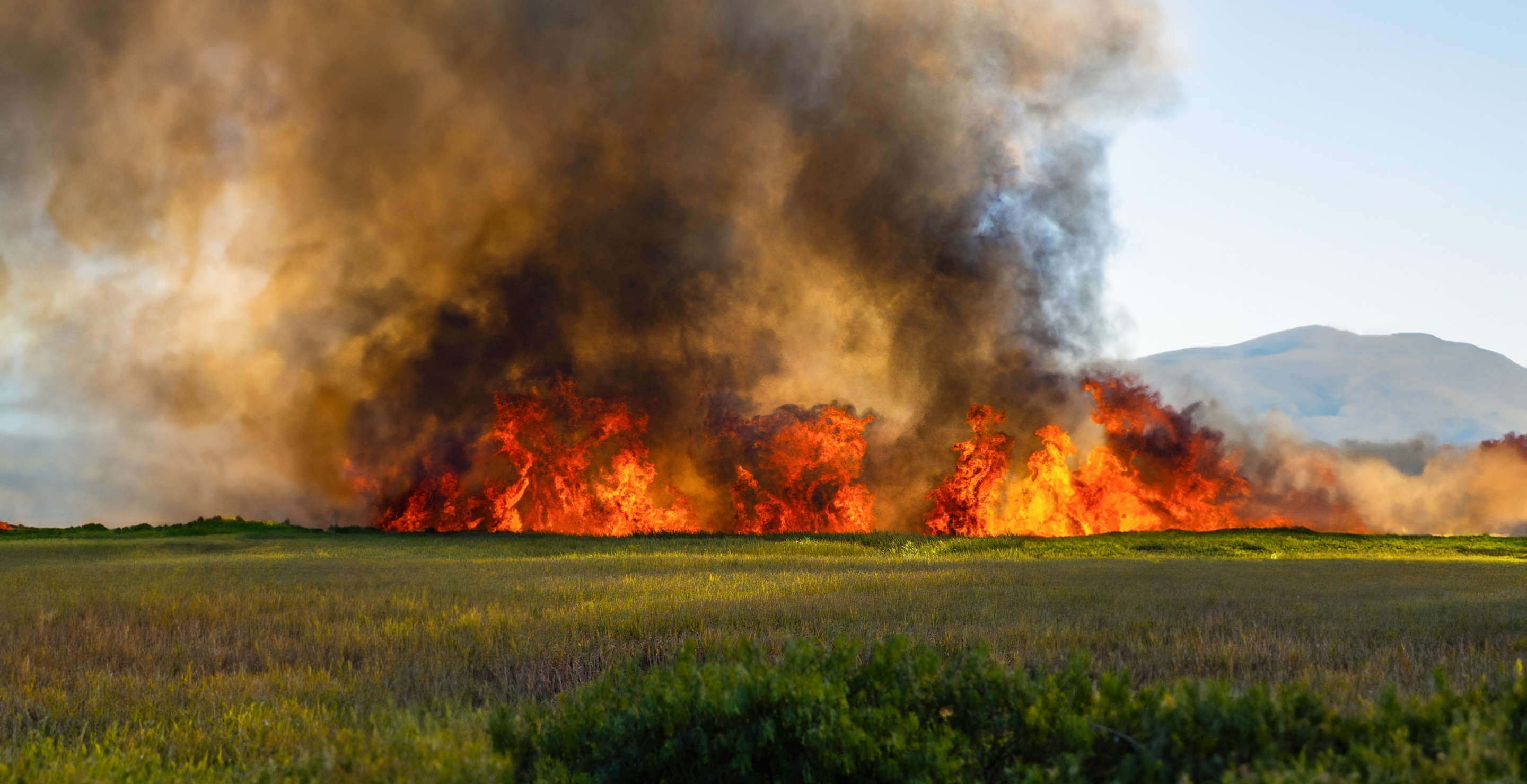 Woman Allegedly Sets Fires Because She Was Hoping To Flirt With Firefighters