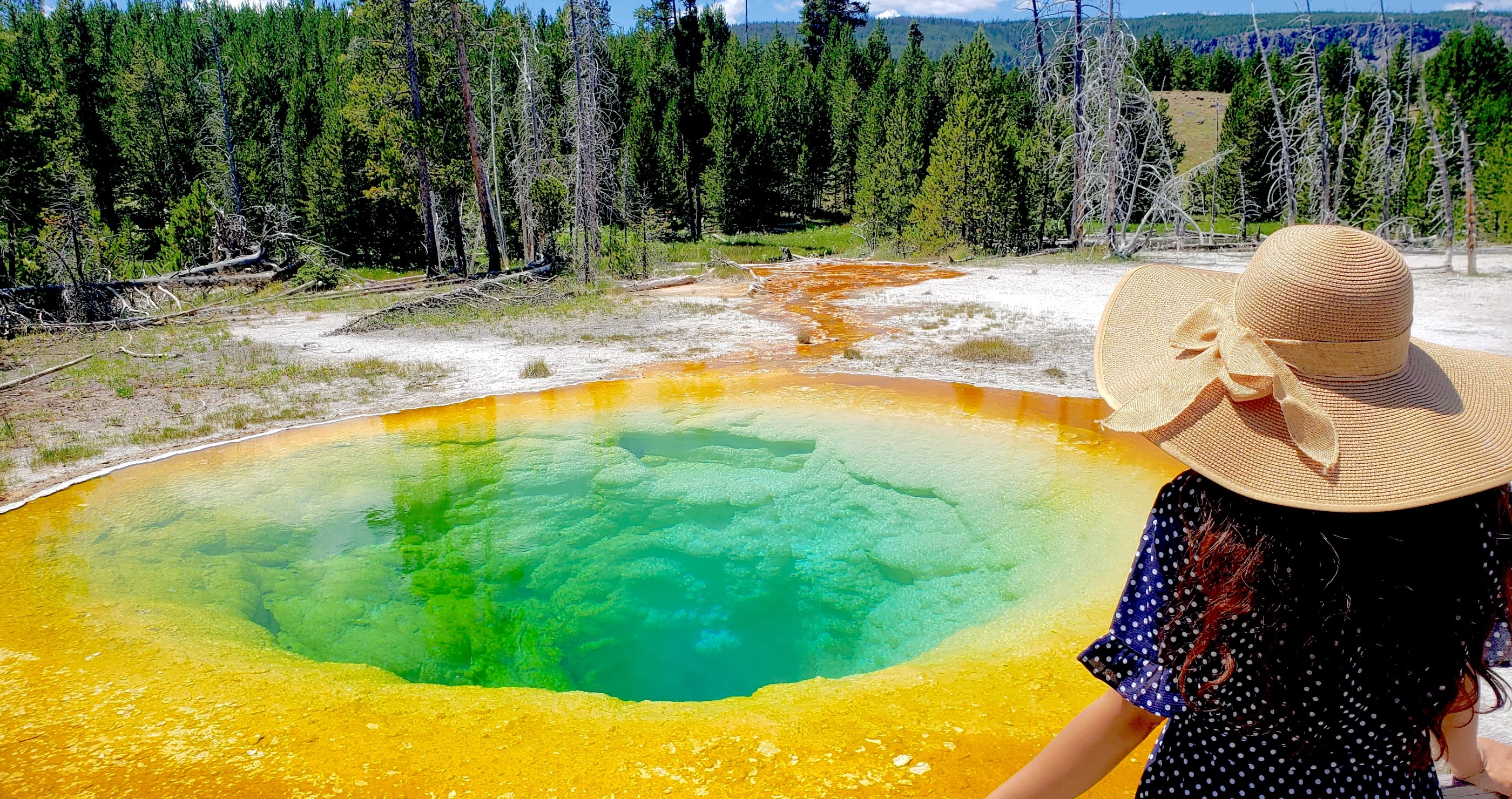 Yellowstone Tourists Ruin Morning Glory Thermal Pool