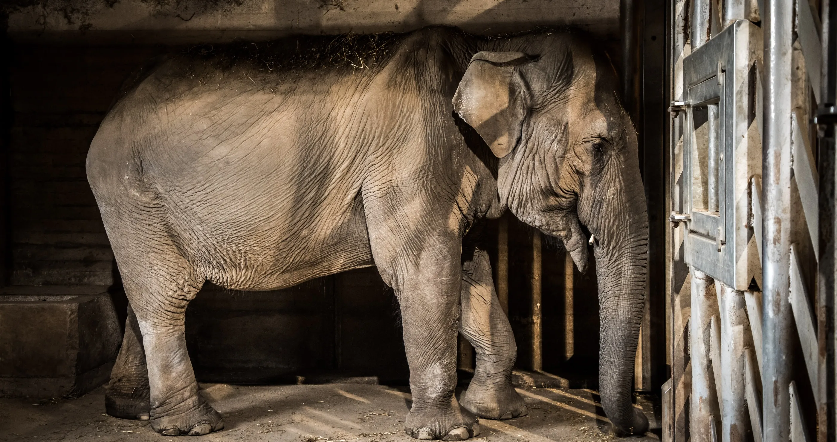 500 animals died at worst zoo