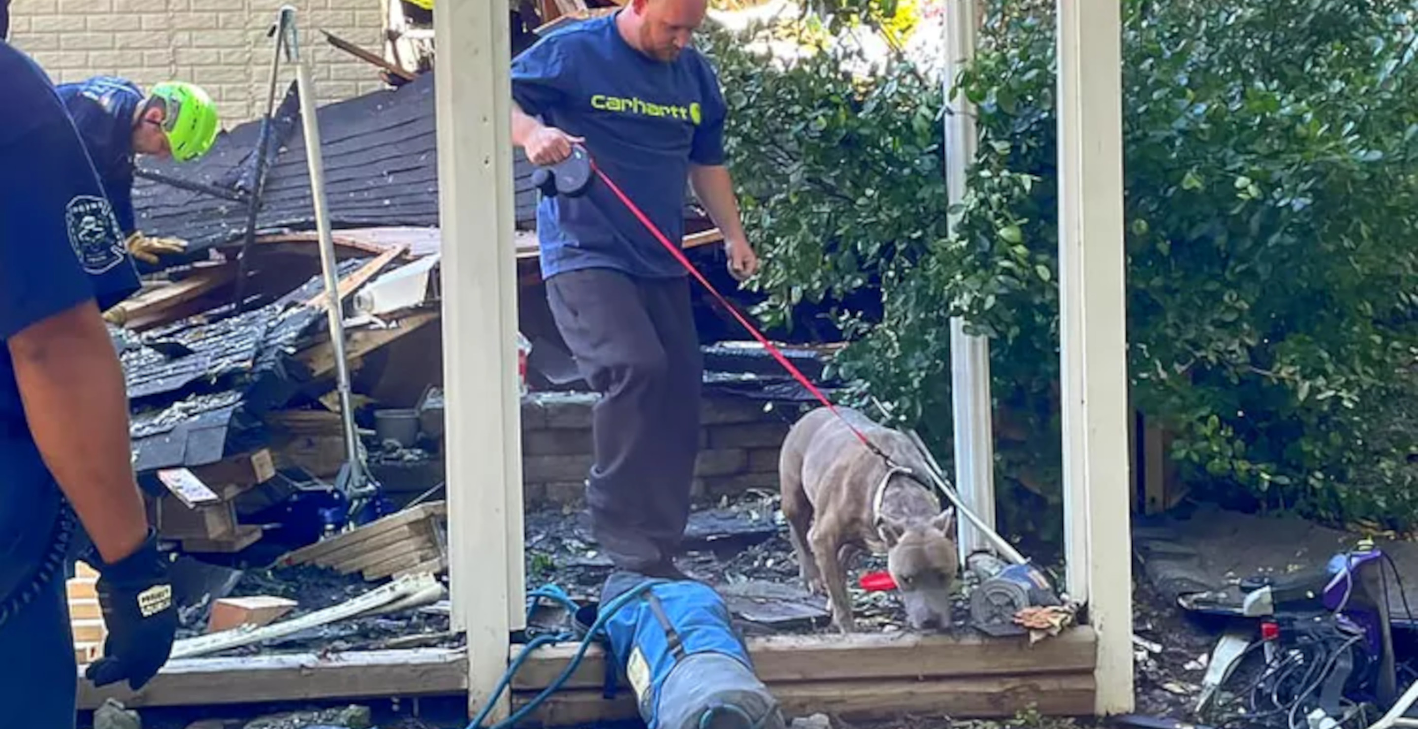 Dog Surprises Just About Everyone By Surviving House Explosion