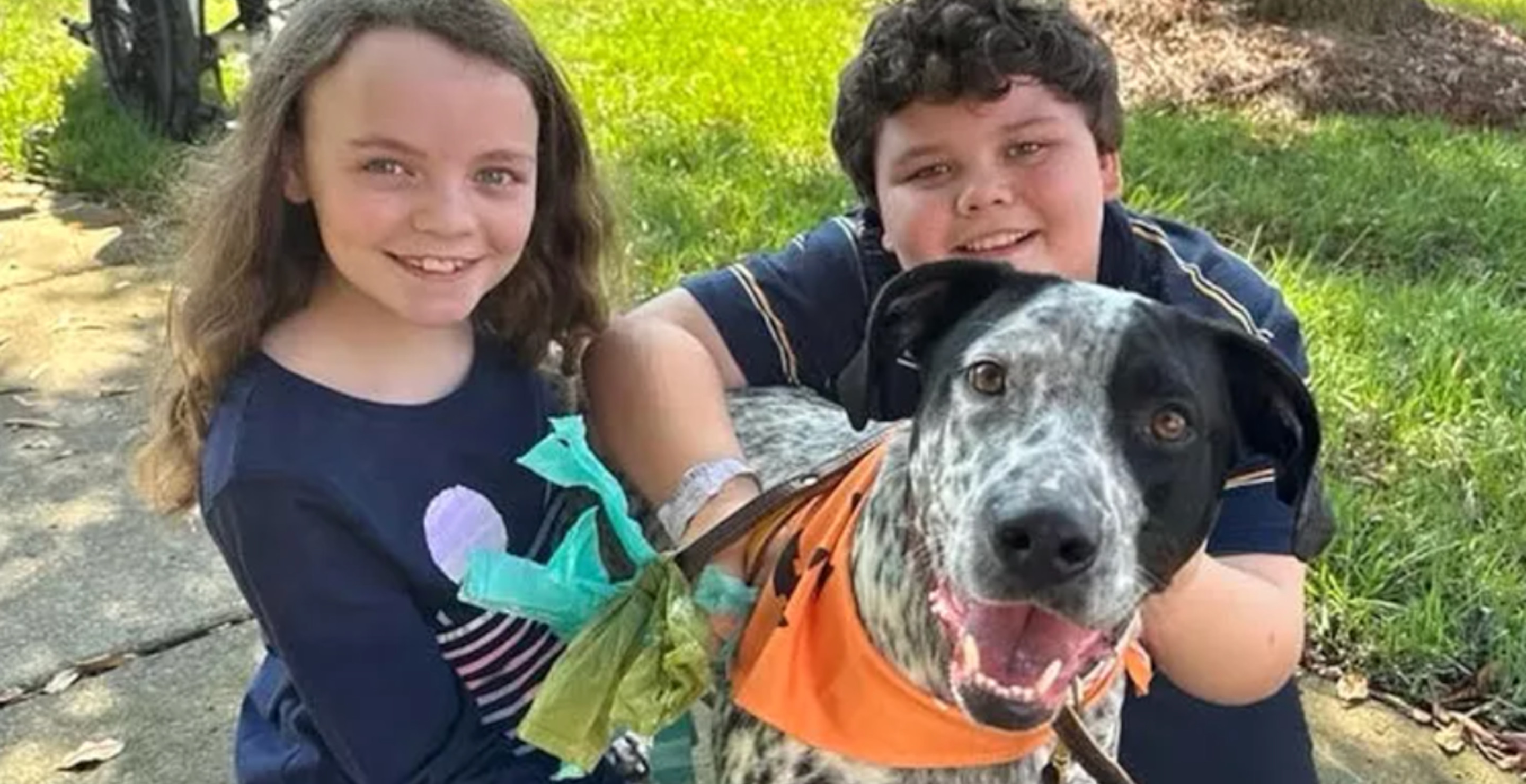 Family-Dog-Rescues-11-Year-Old-Boy-After-Hurricane-Helene-Mudslide