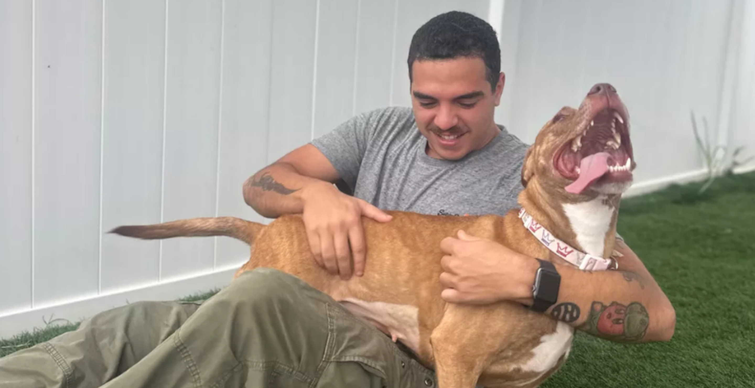 Marine Raises Awareness About Shelter Dogs By Running With Them