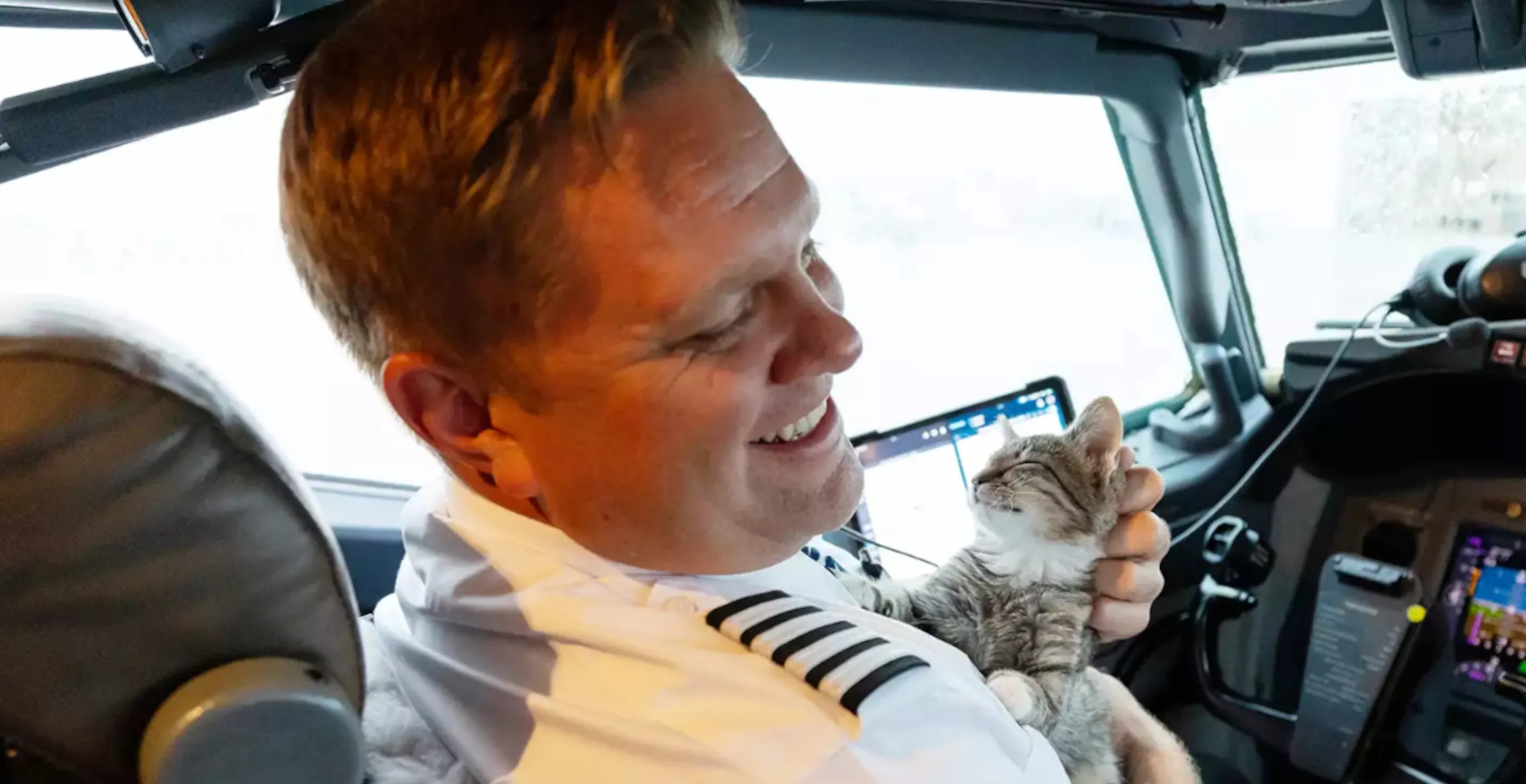 Pilot Flies Rescued Animals And Pets From Areas Damaged By Hurricanes