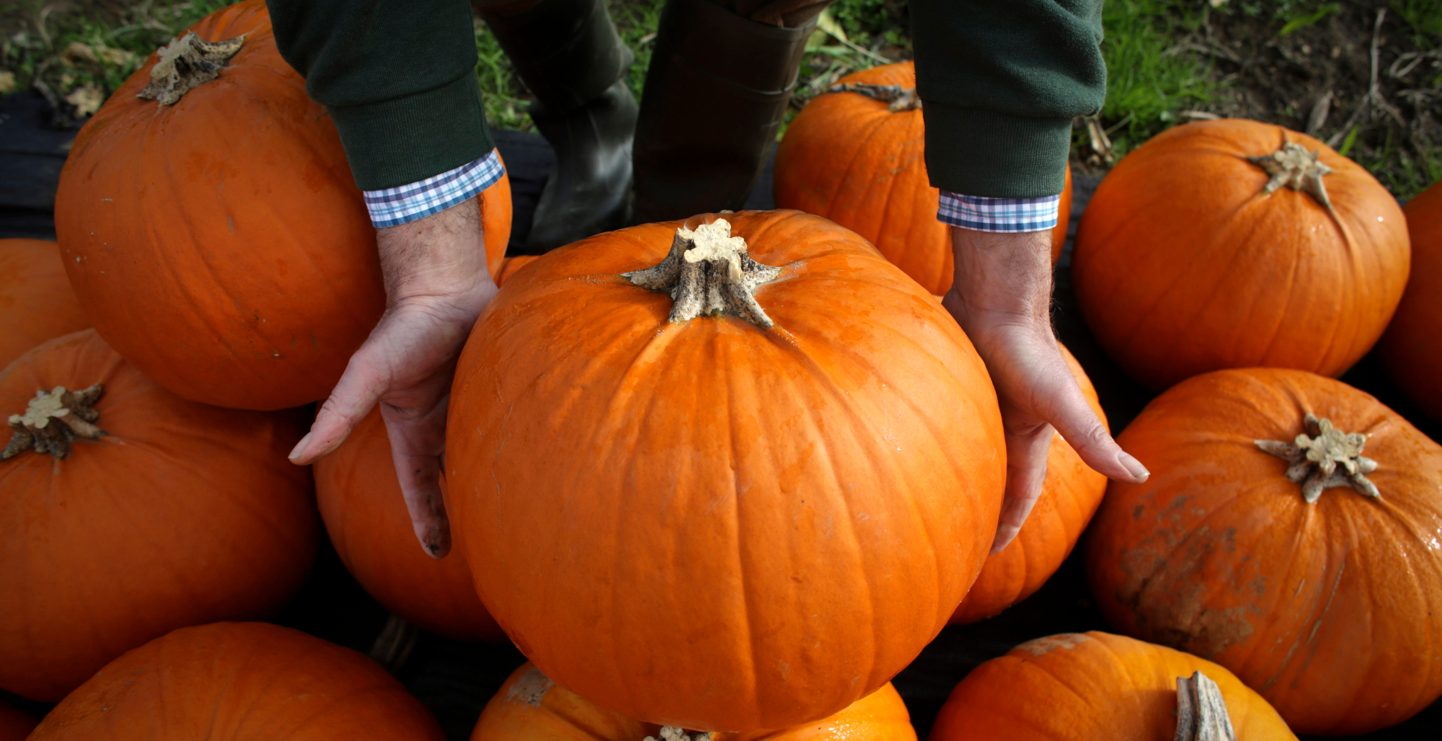 Someone Call Cinderella Because Utah Couple Just Grew A Record-Breaking 2,289-Pound Pumpkin