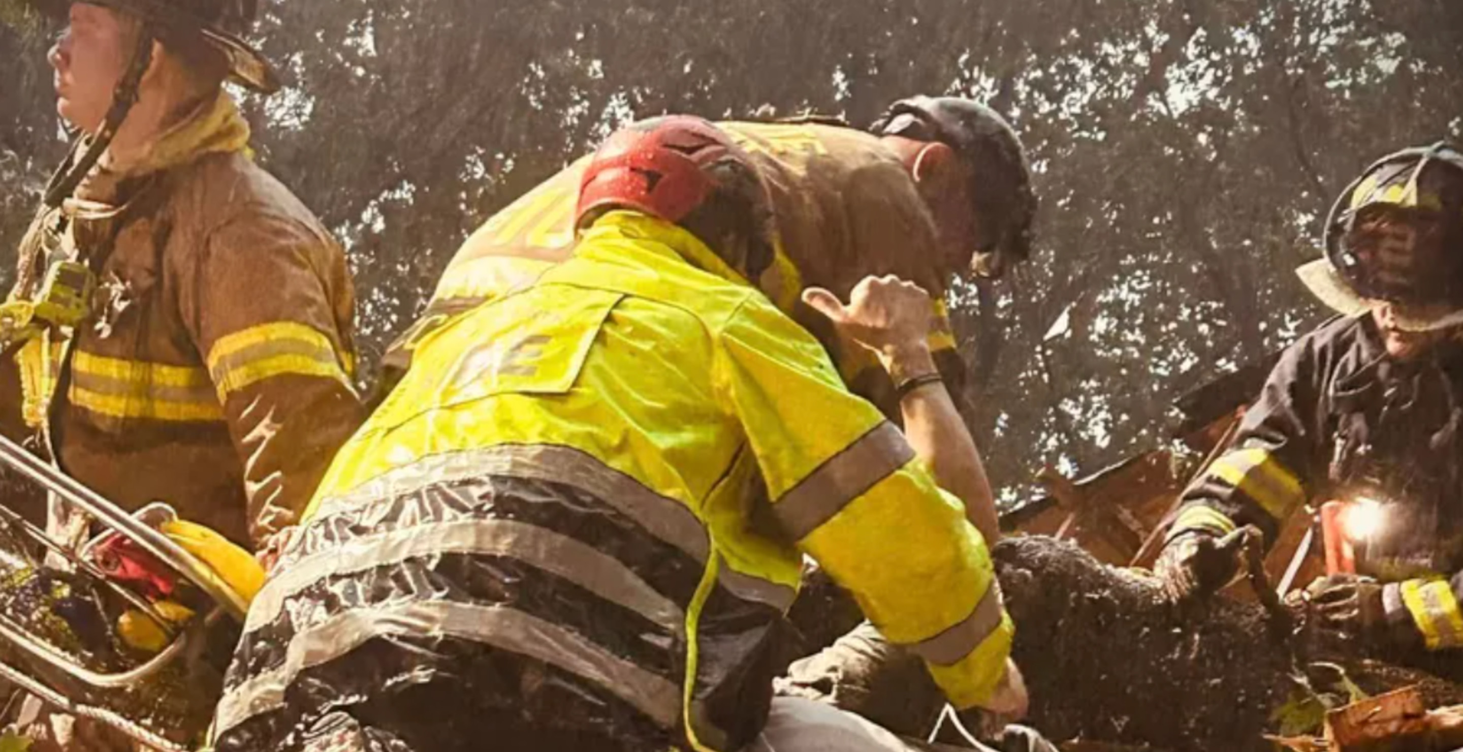 South Carolina Man Details Terrifying Moment A Tree Fell On Him During Helene