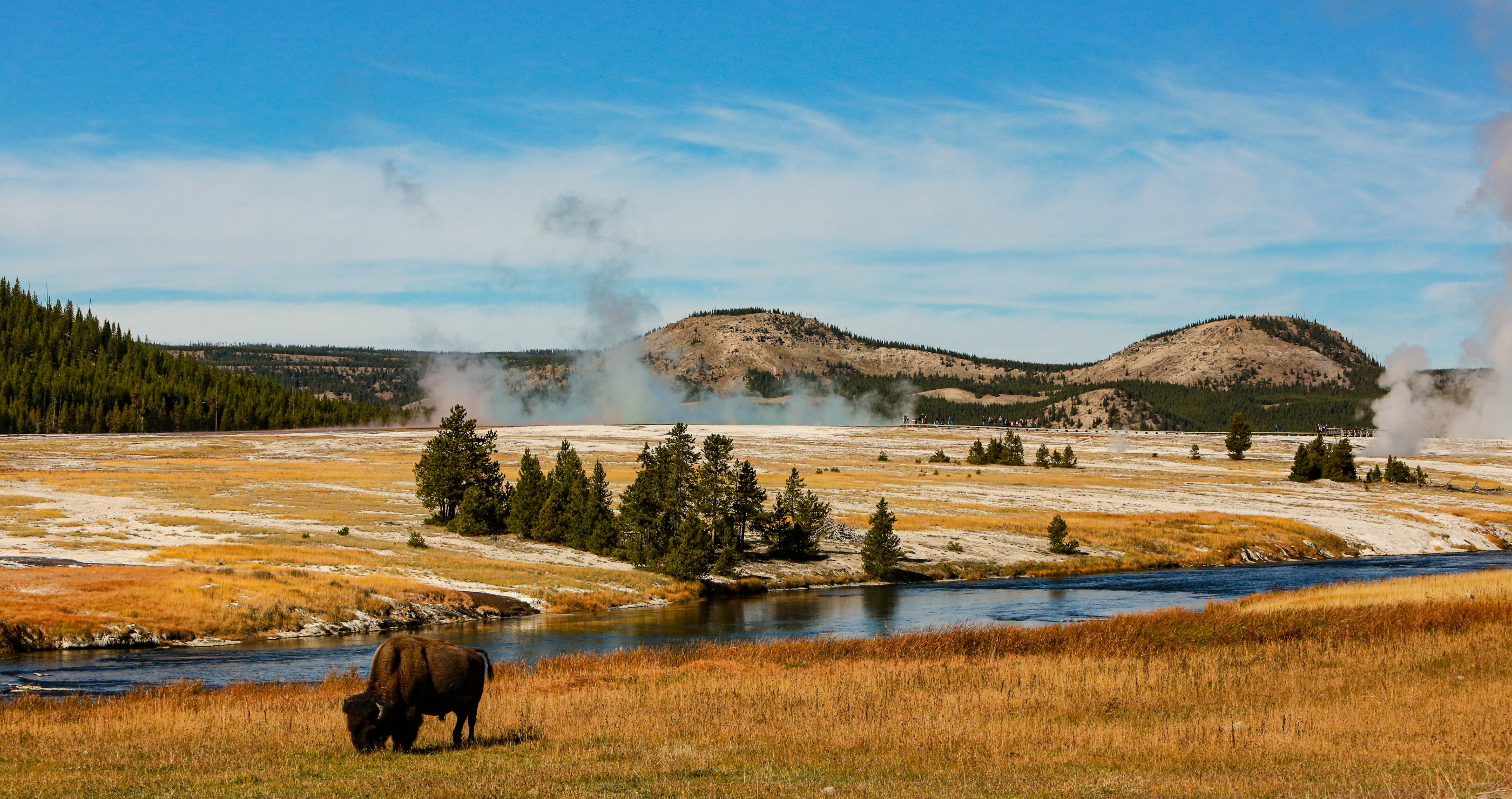 Yellowstone Photographer gives warning to visitors