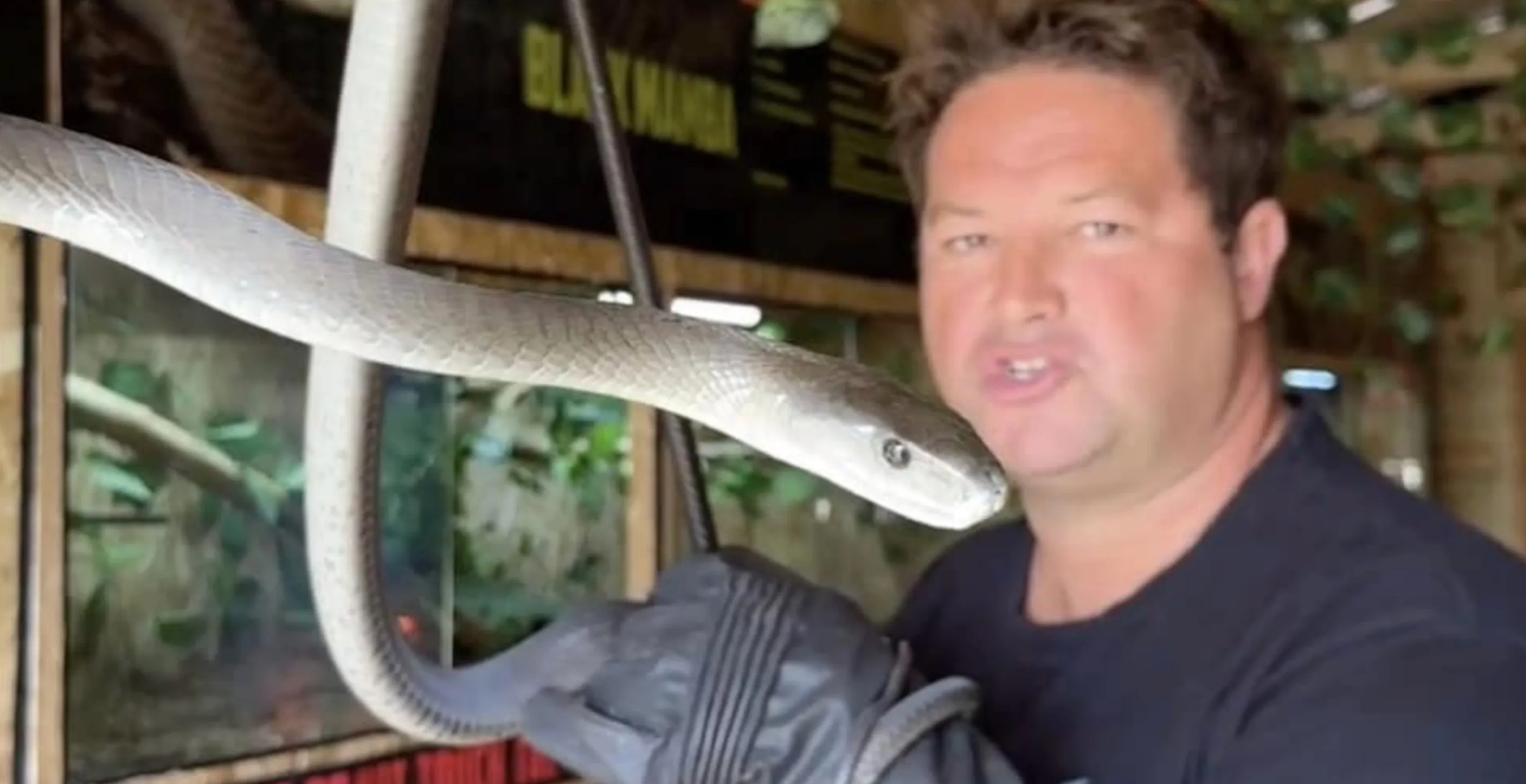 YouTuber Graham Dingo Dinkelman, South Africa’s Steve Irwin, Dies After Snake Bite