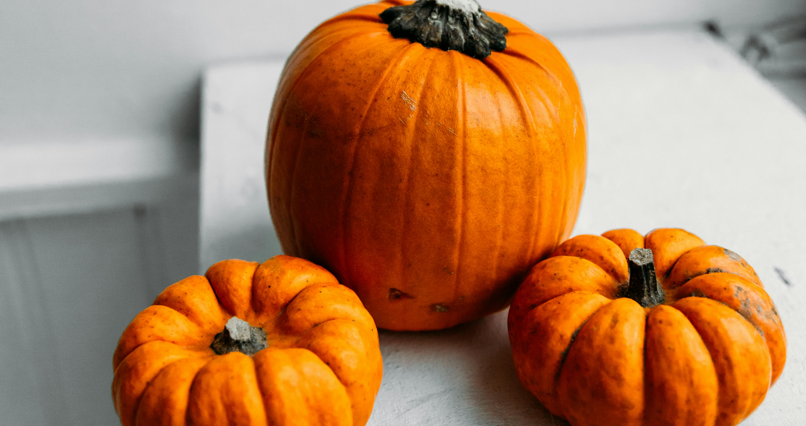 picking the perfect pumpkin (1)