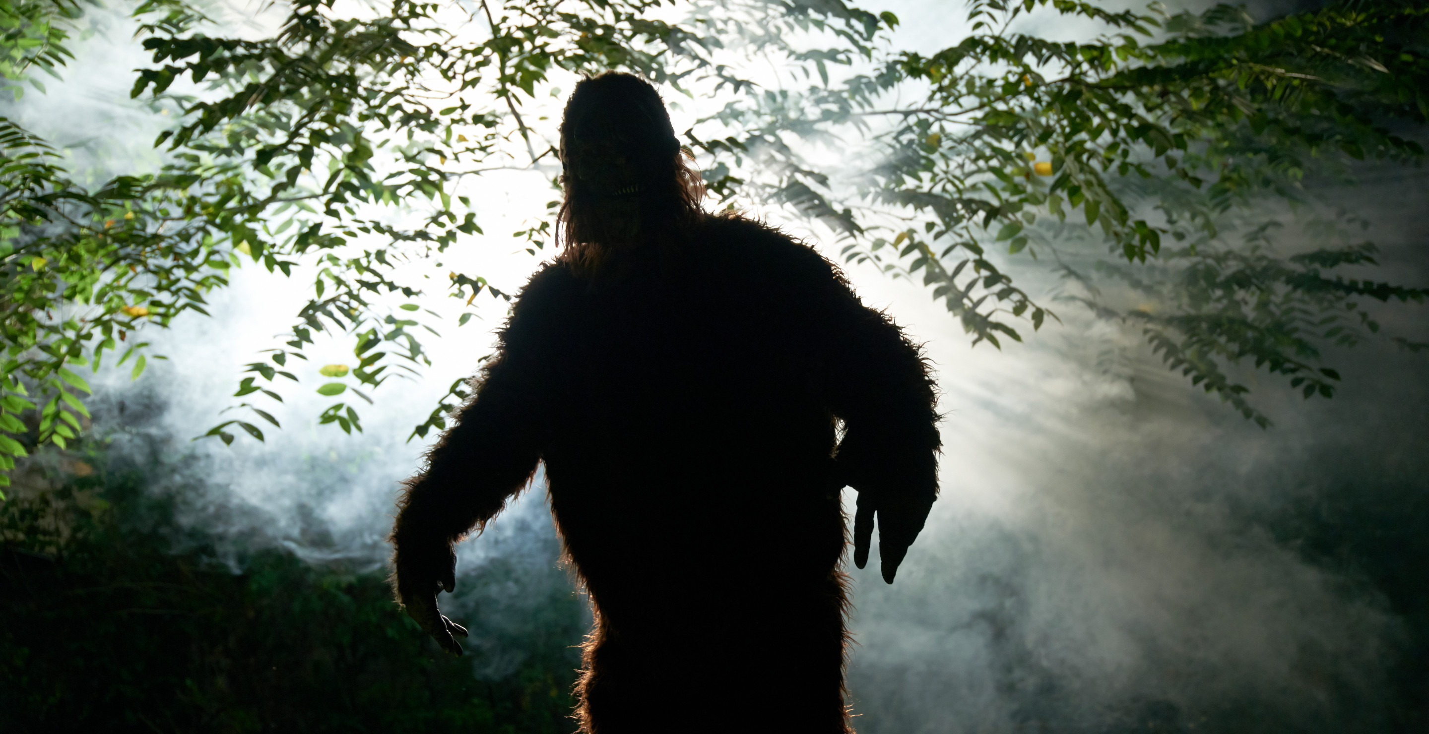 Bigfoot "Screams" In Connecticut Have Locals Edge In Scary Encounter