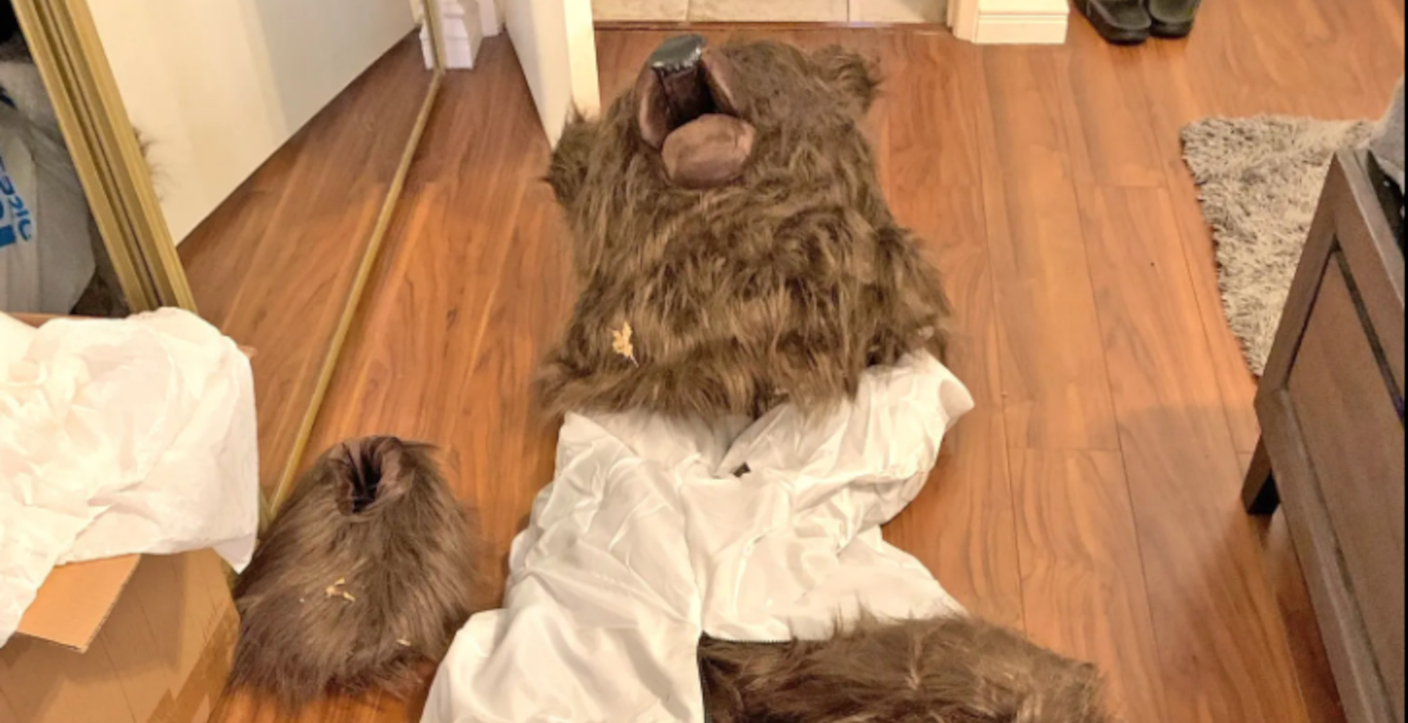 Con Artist Dresses Up In Bear Costume To Try Swindle Insurance Companies Out Of Money,