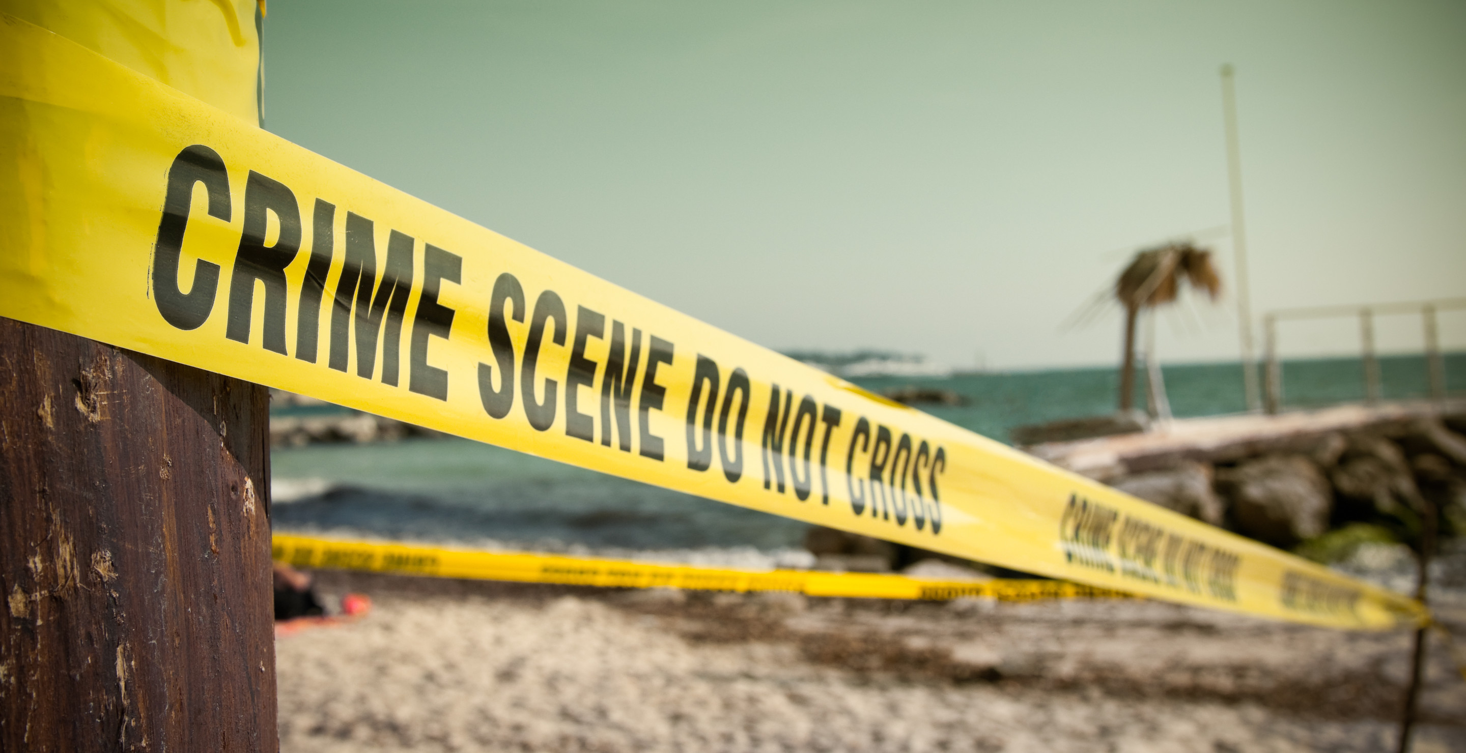 Human Head Just Washed To Shore At A Florida Miami Beach