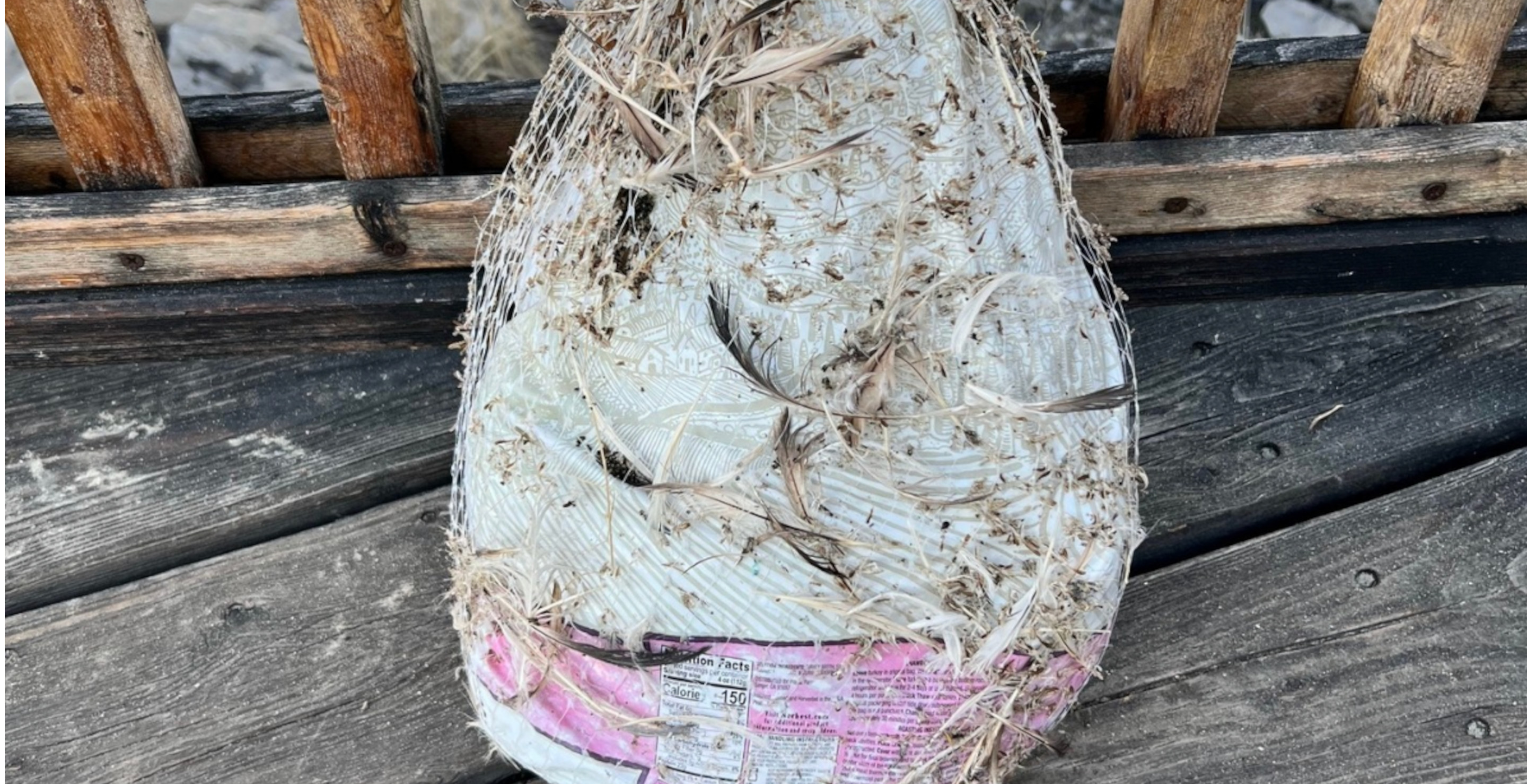 People Keep Brining Their Turkey's In Utah's Great Salt Lake And Officials Want Them To Stop