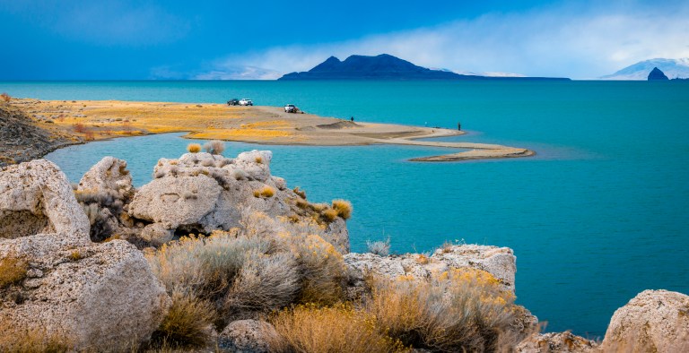 Nevada Lake Develops Green Algae Swirls That Are Visible From Space ...