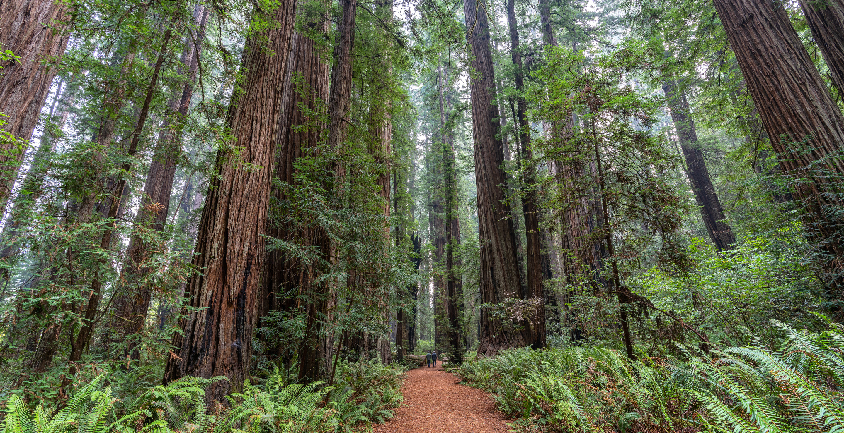 Man Accused Of Committing Heinous Crimes At Multiple National Parks