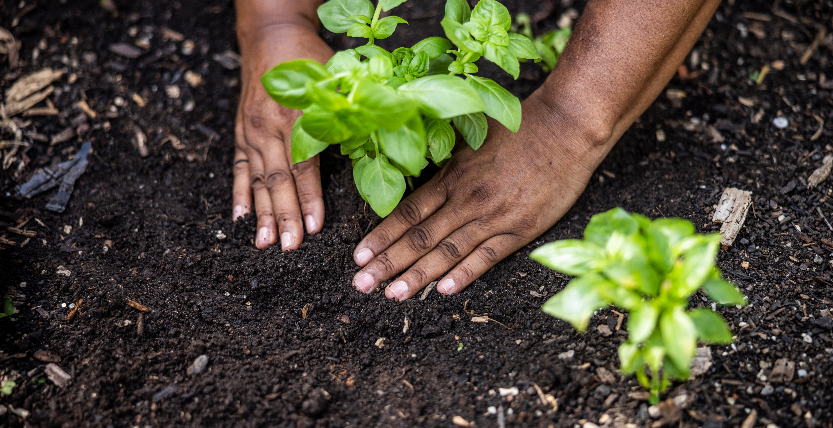 Your Backyard Is Hiding A Hidden Danger That Could Kill You