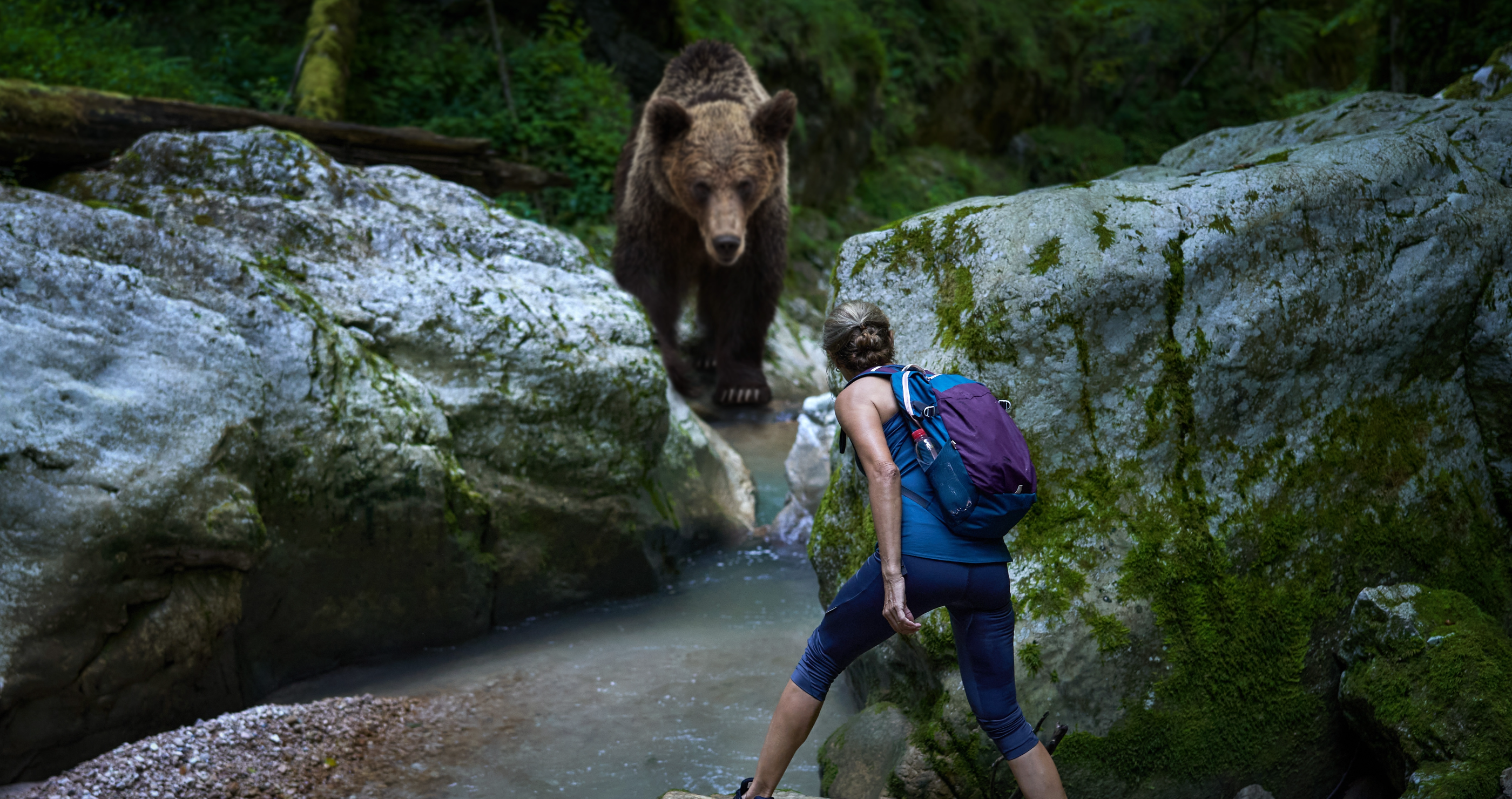 hiker killed in staged bear attack