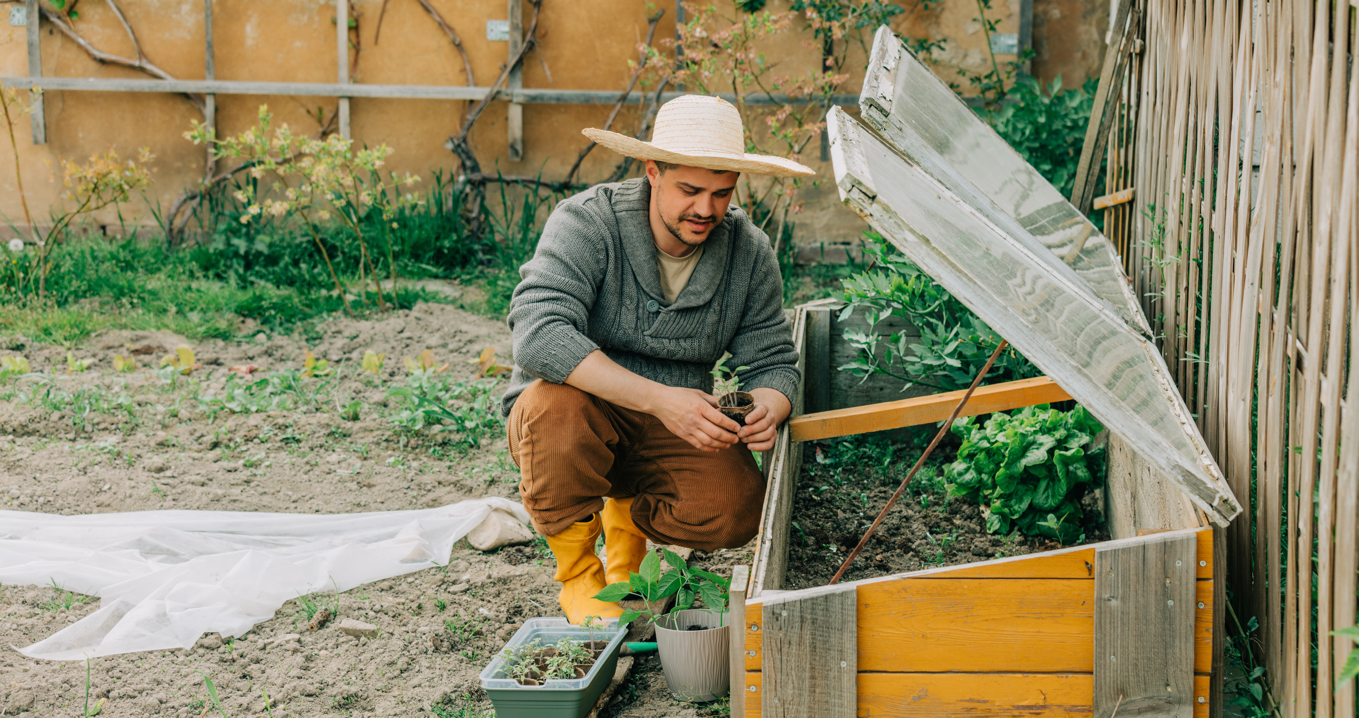 how to be a homesteader in simple steps