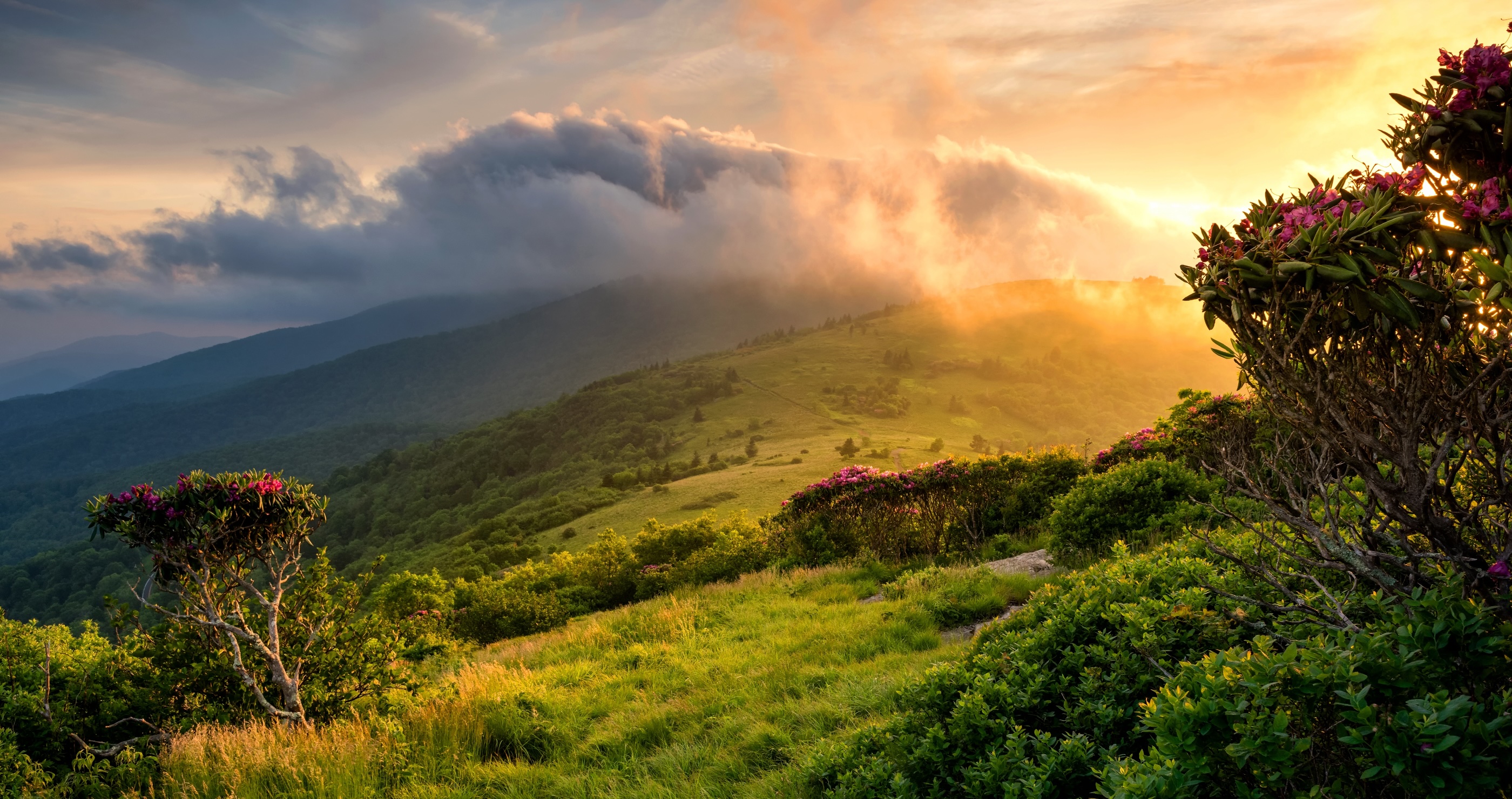 88-year-old takes three-month hike on Appalachian Trail