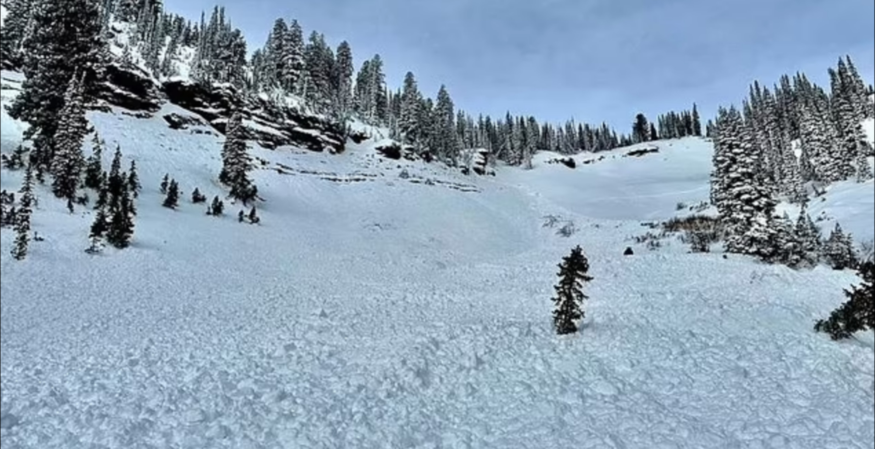 Brother Saved Man Trapped Under Avalanche Of Snow After Spotting His Fingers Sticking Out