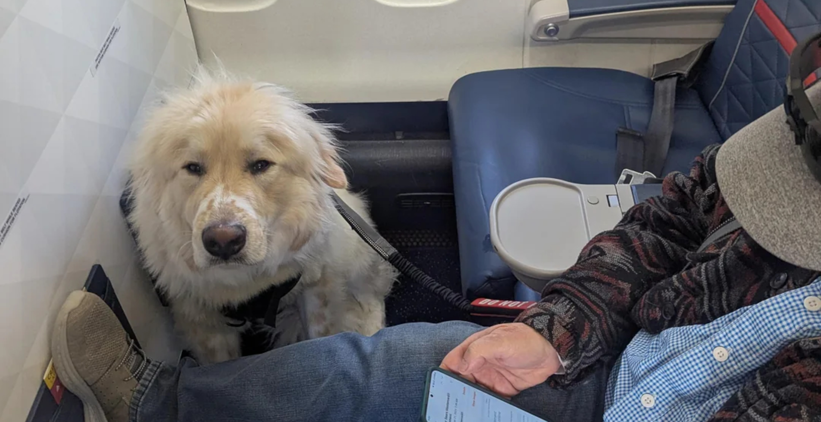 Livid Delta Passenger Angry After Being Forced To Give Up First Class Seat For A Dog