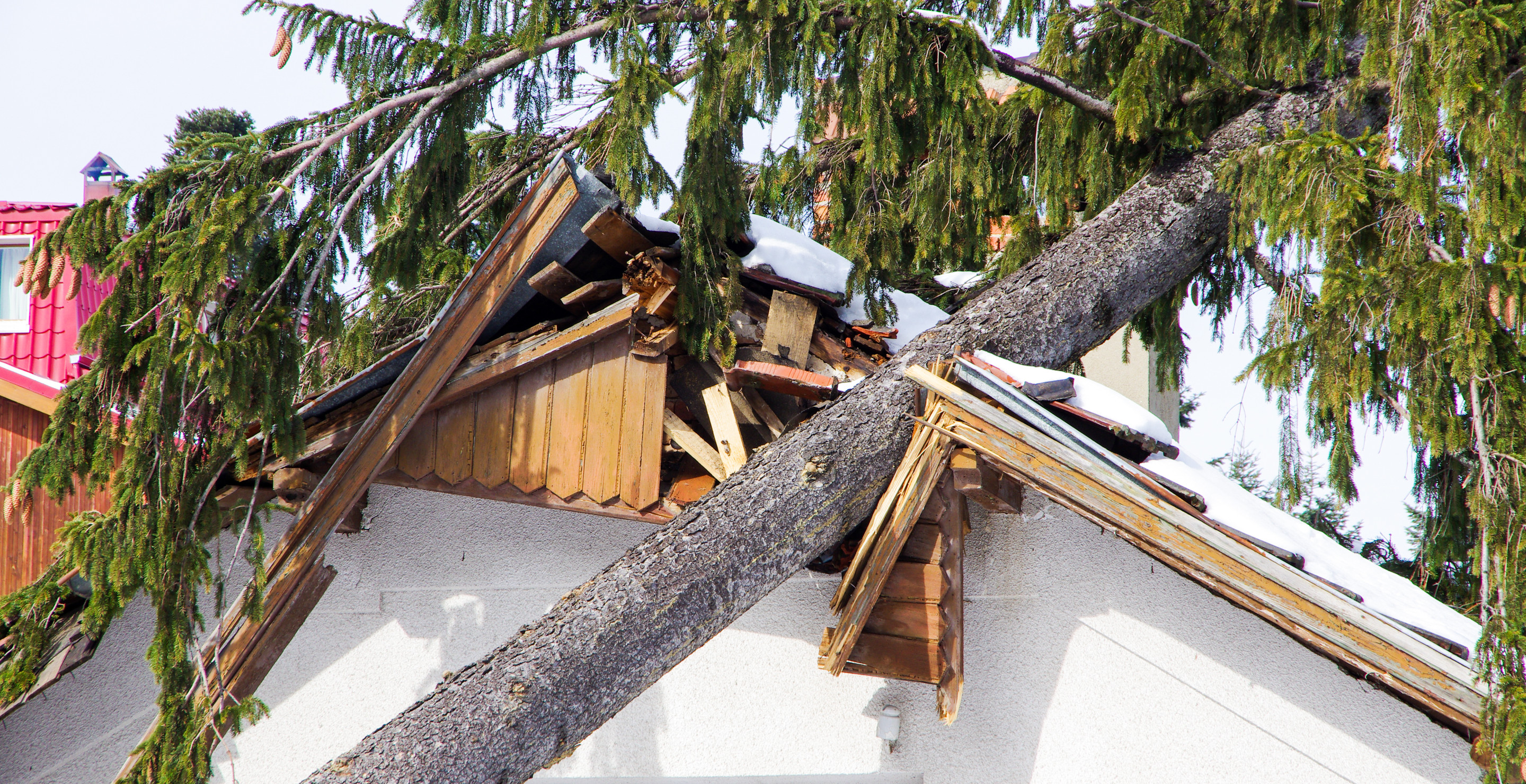 Mississippi Teen Dies After Tree Falls On House During Severe Storm