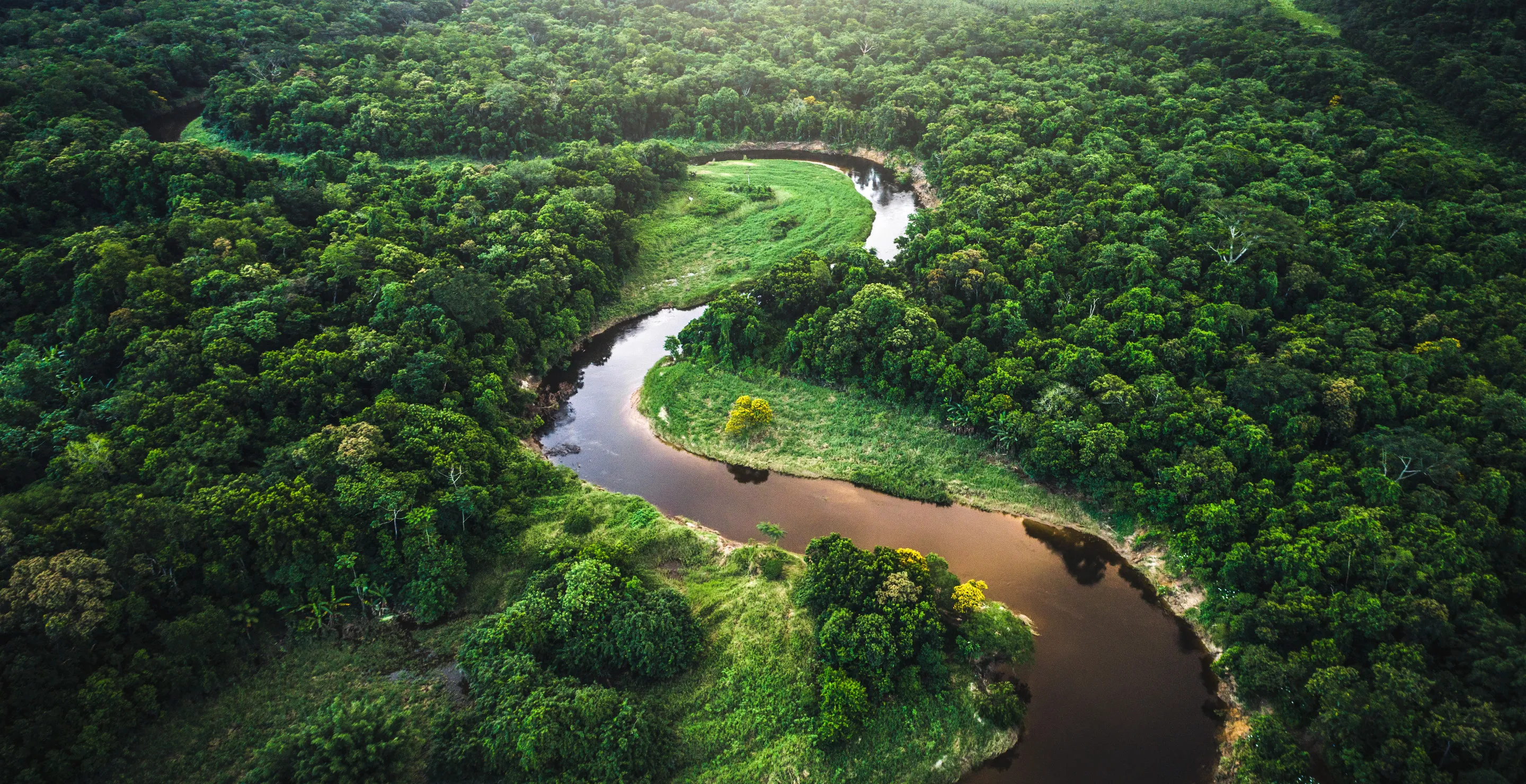 Surviving For 40 Days In Amazon Jungle Was Only The Beginning Of Four Kids' Problems