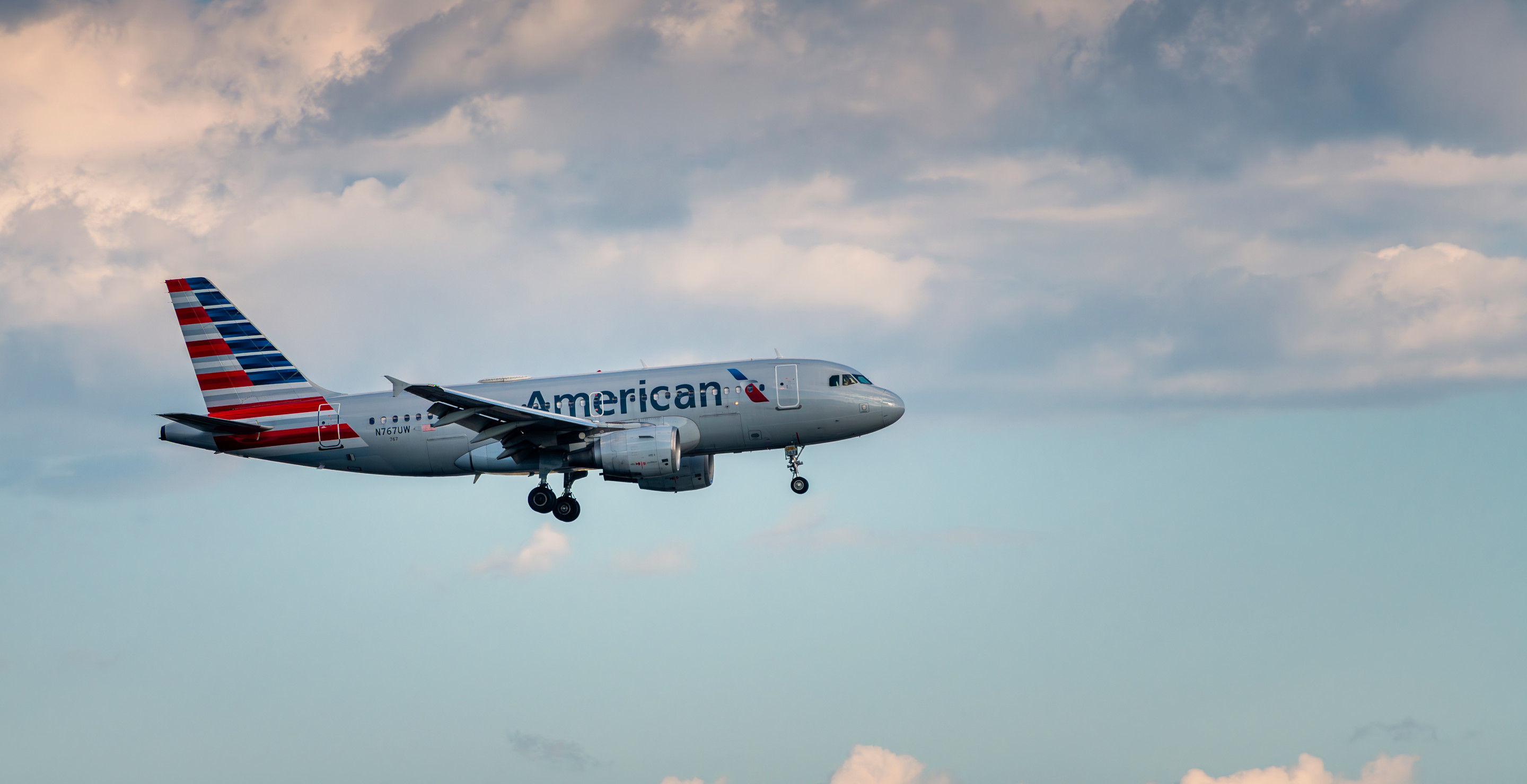 Terrifying Moment American Airlines Passengers Thought They Were Going To Die After Bird Flew Into Plane Engine