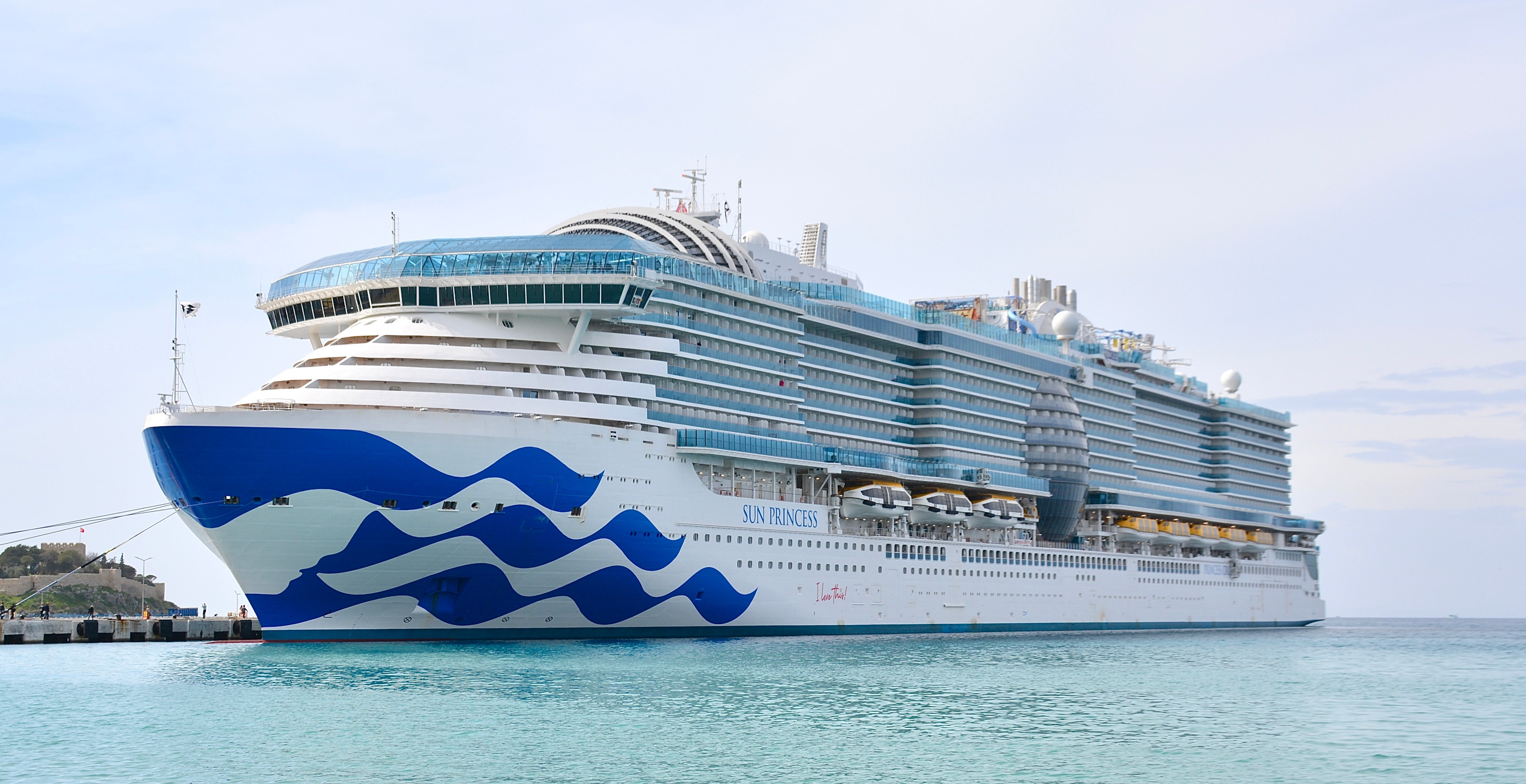 Woman Dies After Attempting To Jump Overboard On Princess Cruises Ship