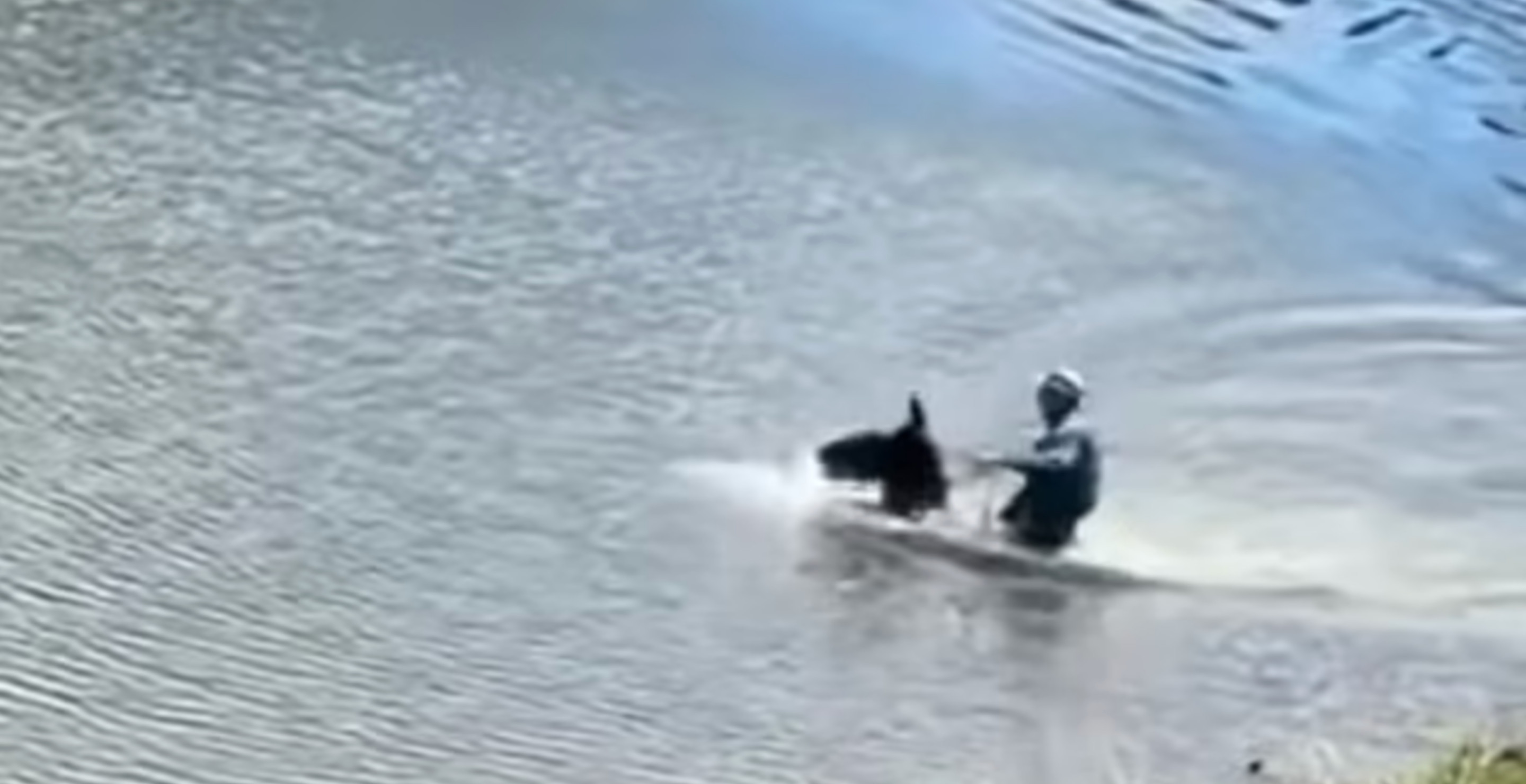 Disturbing Video Of Drowning Horse Leads To Feud Between 'Ice Road Truckers' Family And An Arrest