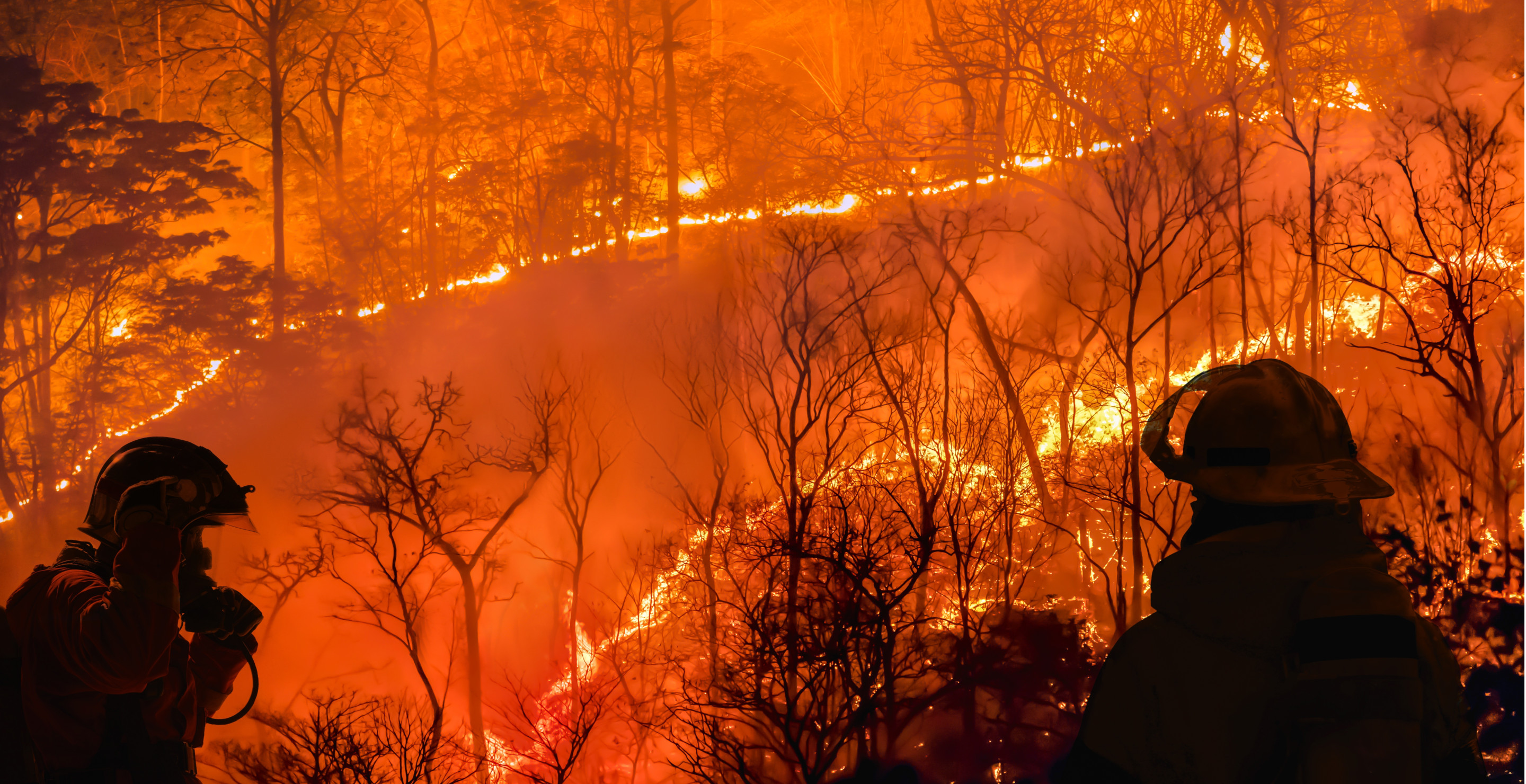 Furious Tourist Blasts Airbnb For Refusing Refund Or Rebook Her Stay Despite A Nearby Raging Wildfire