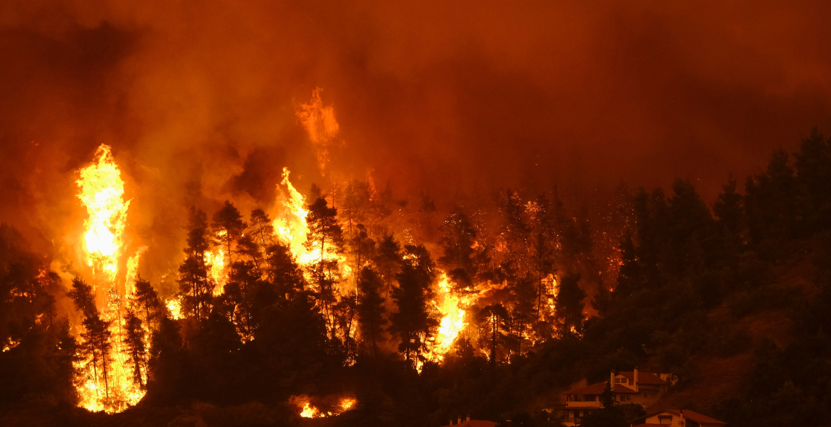 Man Drives Up Burning Mountain To Rescue Woman And Her Four Dogs