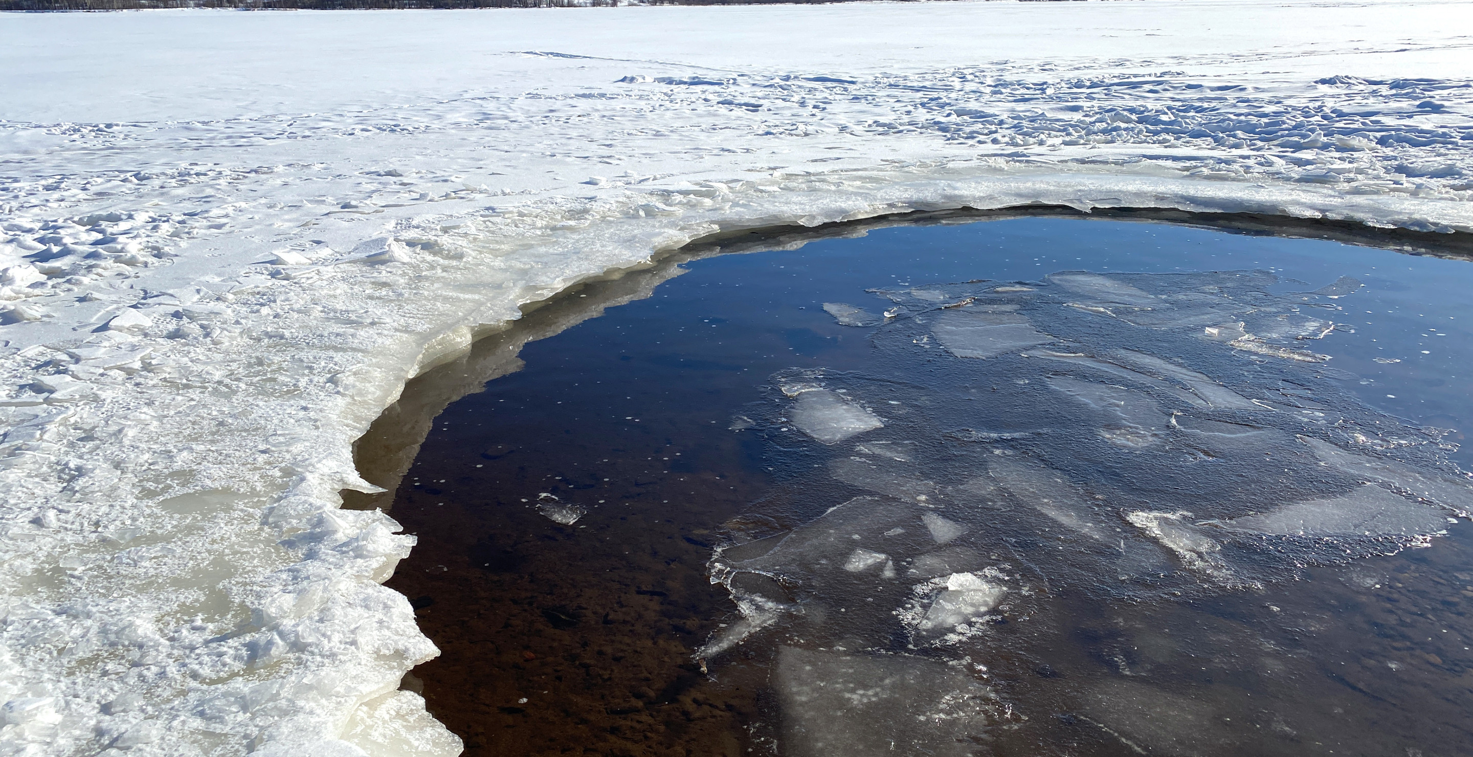 Missing 6-Year-Old Girl With Autism Found Dead In Icy Pond