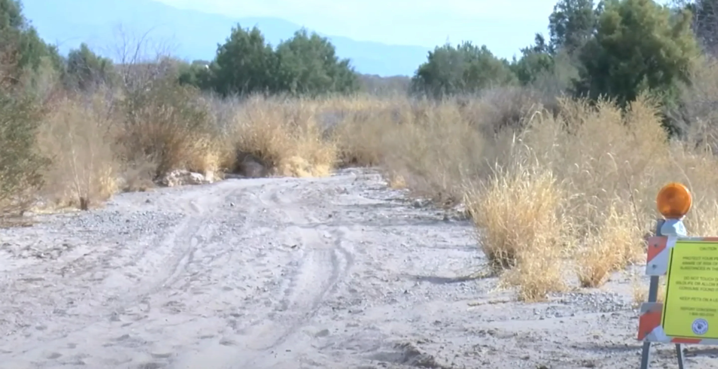 Multiple Wildlife Animals And Pets Mysteriously Die On Popular Hiking Trail