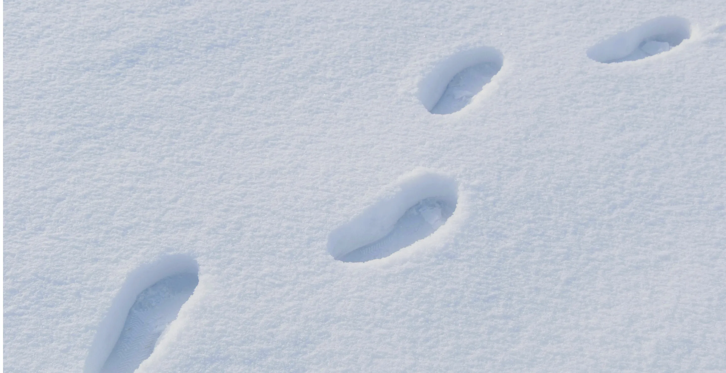 Snowy Footprints Help Authorities Track Down Missing Man