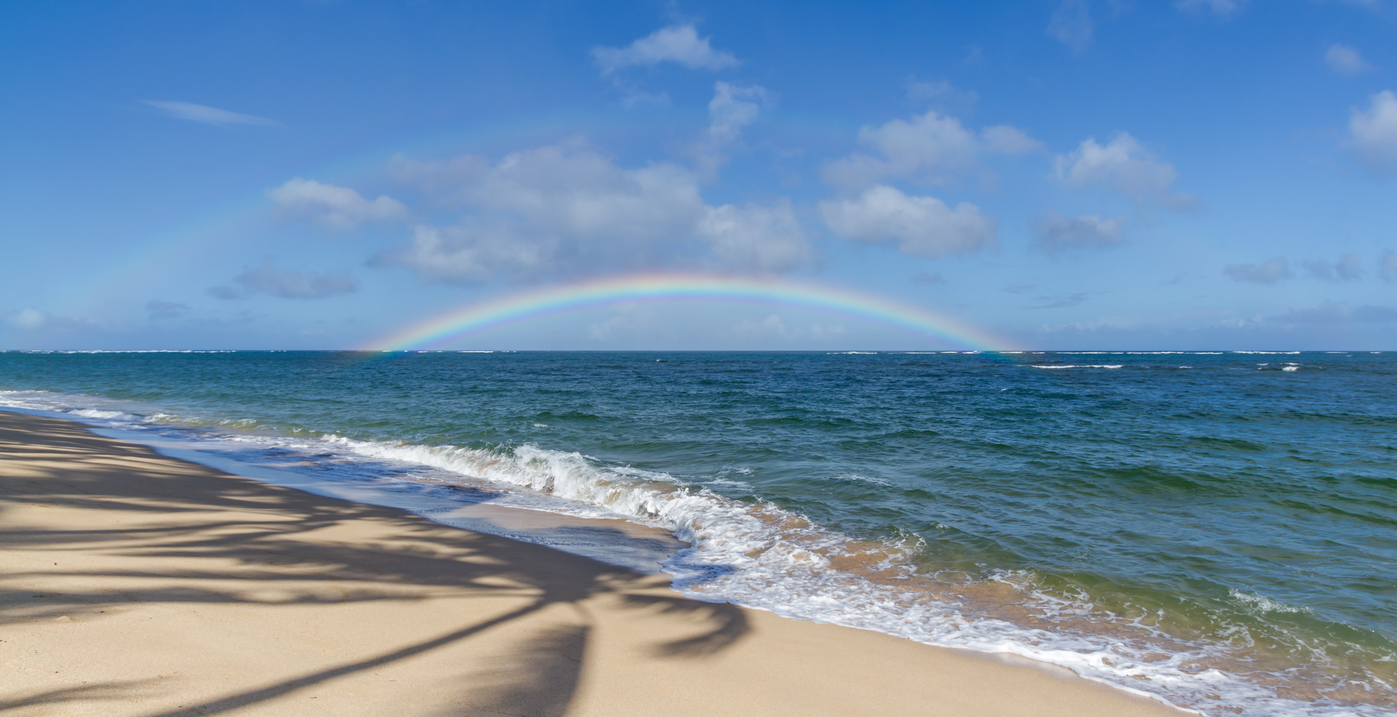 Teen Couple Vanishes After Spending Evening At Hawaii Beach, Remains Found